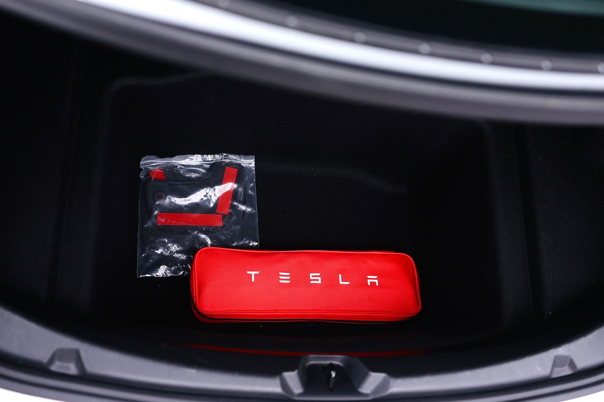TESLA Standart Range Plus-image-7