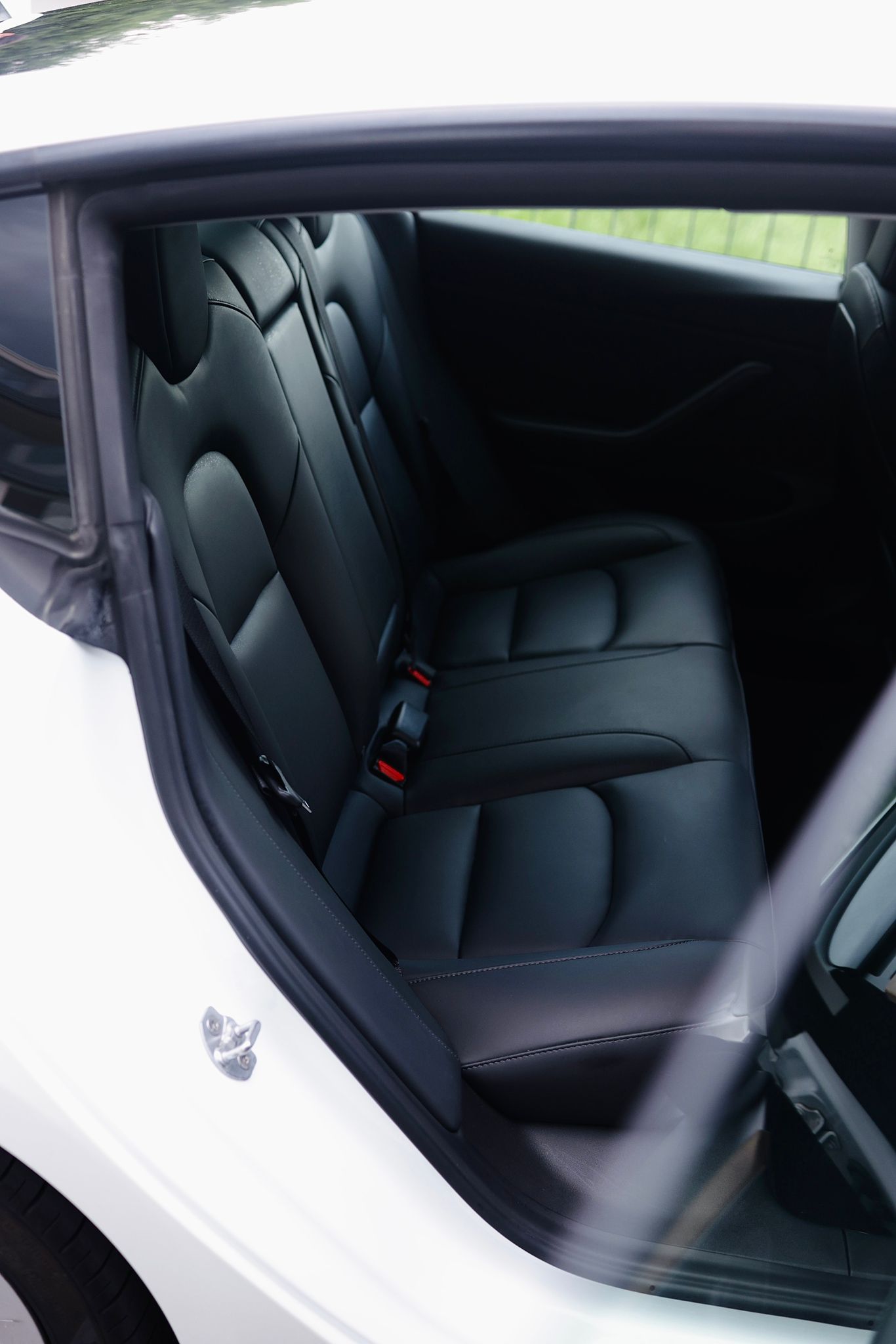 TESLA Standart Range Plus-image-6