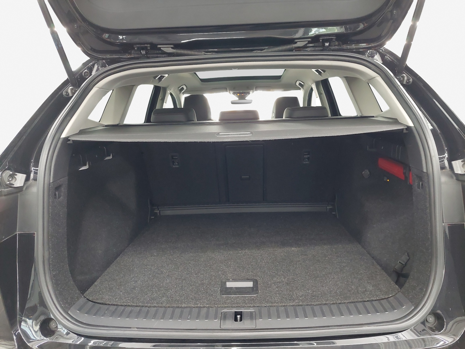 SKODA Enyaq iV 80x-image-15