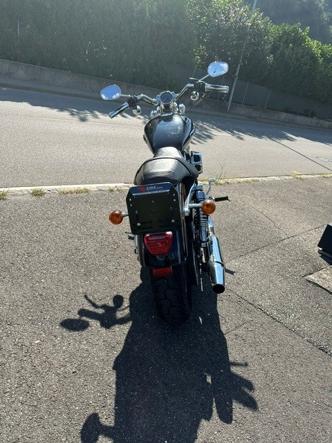 HARLEY-DAVIDSON XL 1200 C Sportster Custom-image-3