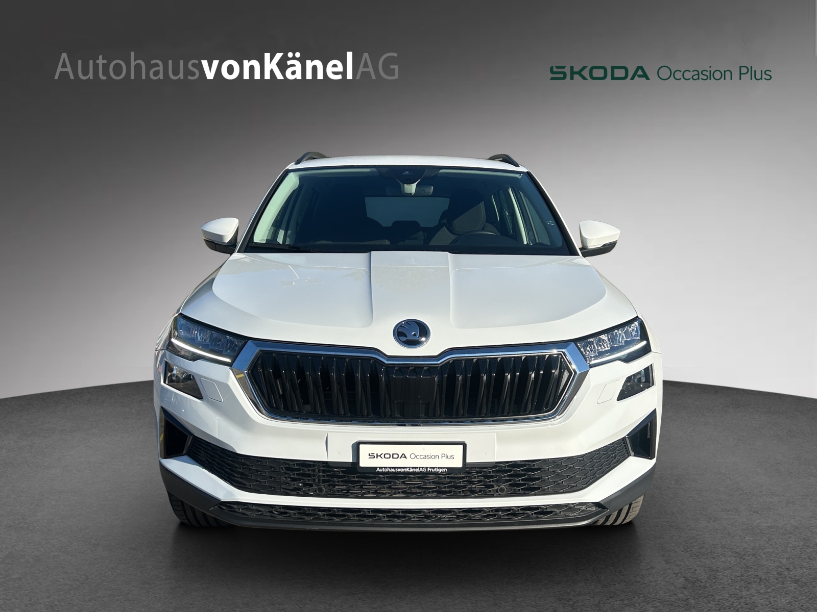 SKODA Karoq 2.0 TDI CR Selection 4x4 DSG-image-3
