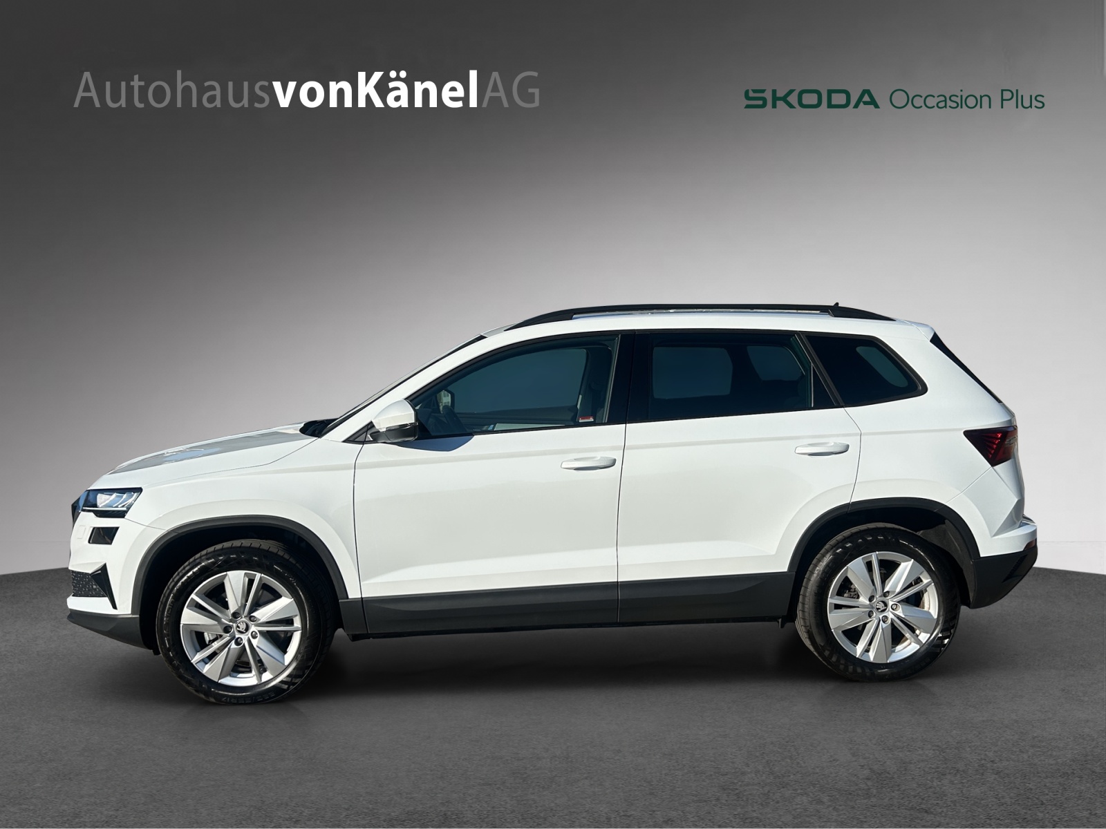 SKODA Karoq 2.0 TDI CR Selection 4x4 DSG-image-1