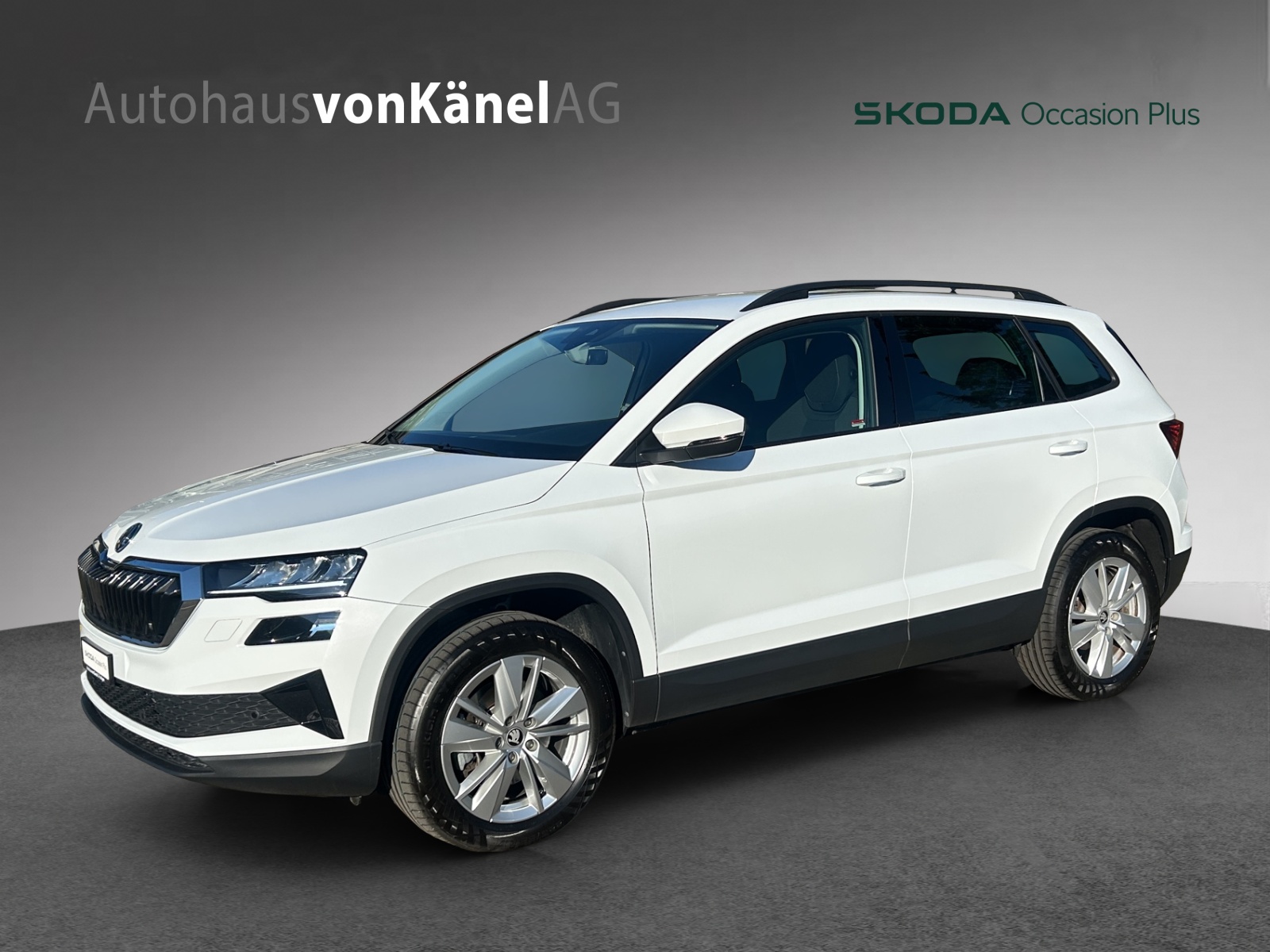 SKODA Karoq 2.0 TDI CR Selection 4x4 DSG-image-0