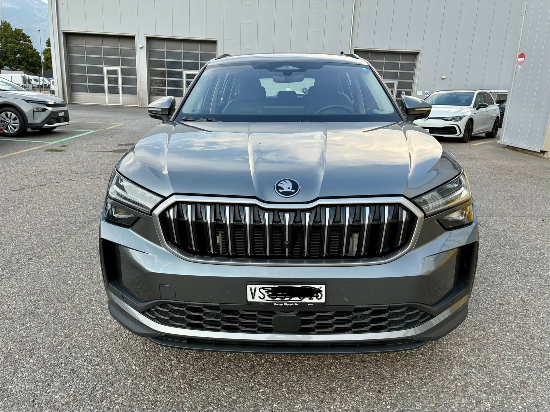 SKODA 2.0 TDI Selection-image-2
