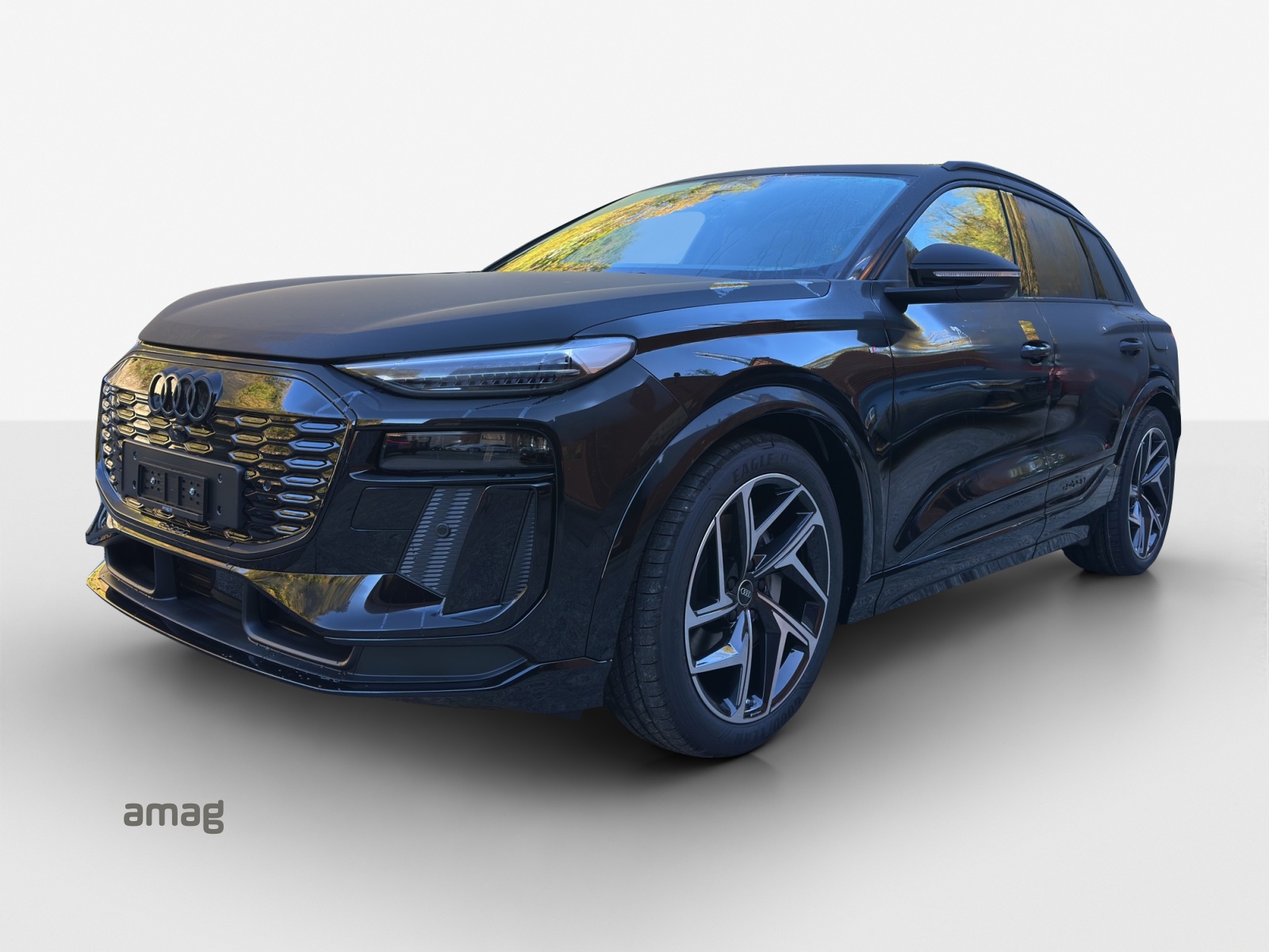 AUDI Q6 e-tron quattro-image-0