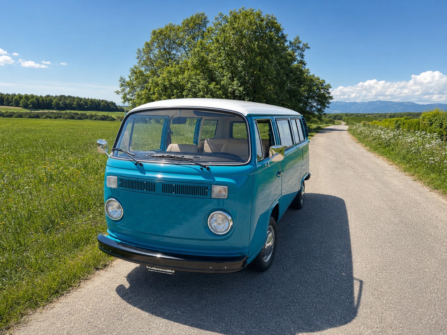 VW T2
