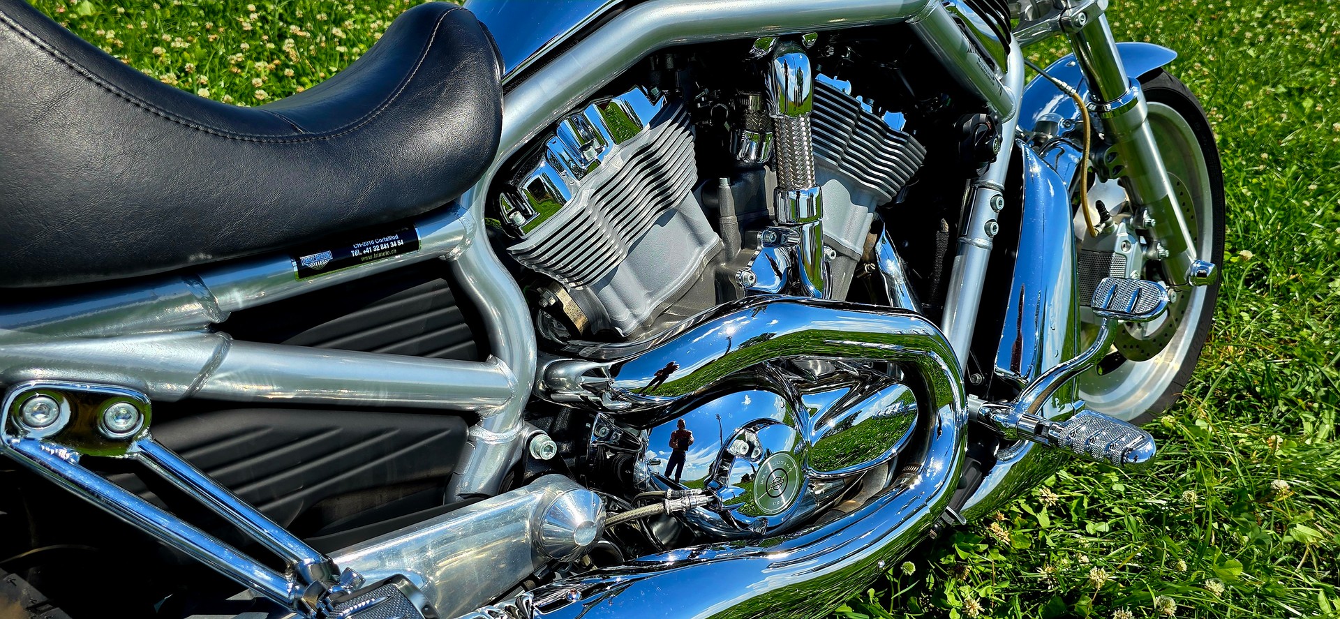HARLEY-DAVIDSON VRSCA V-Rod A-image-15