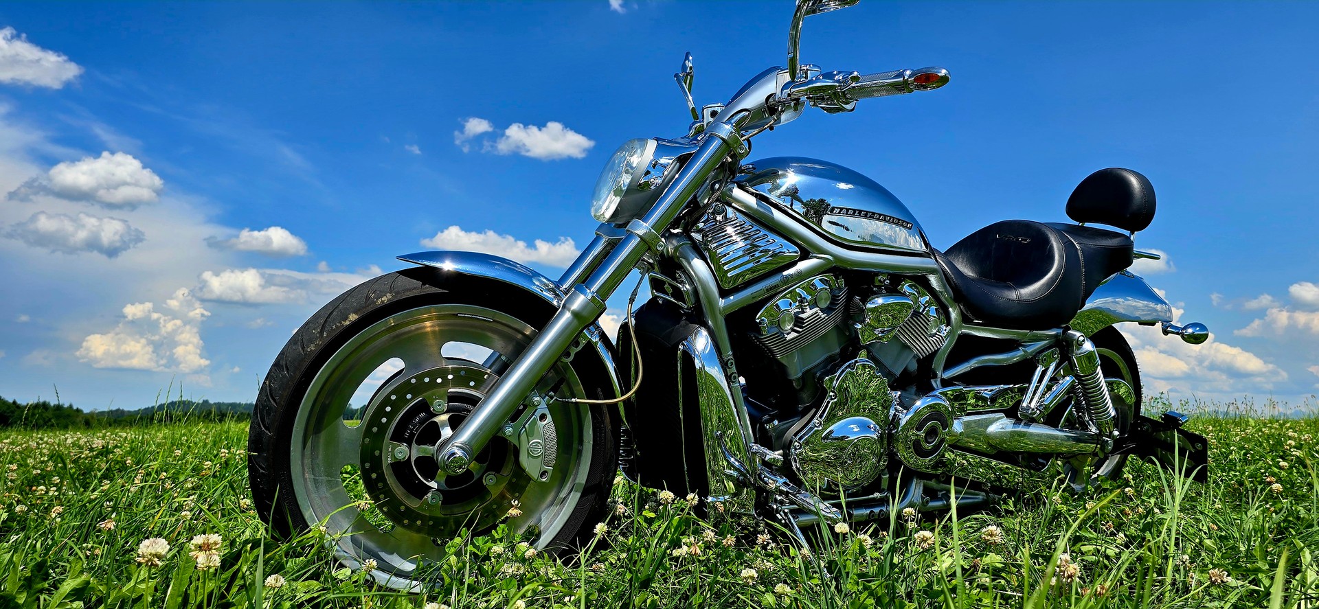 HARLEY-DAVIDSON VRSCA V-Rod A-image-8