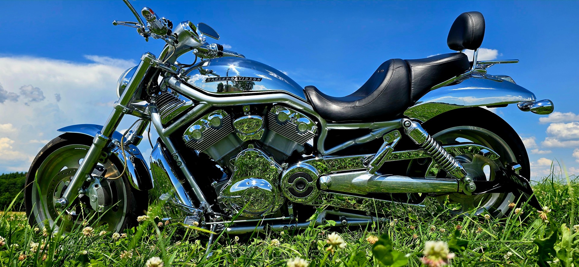 HARLEY-DAVIDSON VRSCA V-Rod A-image-9