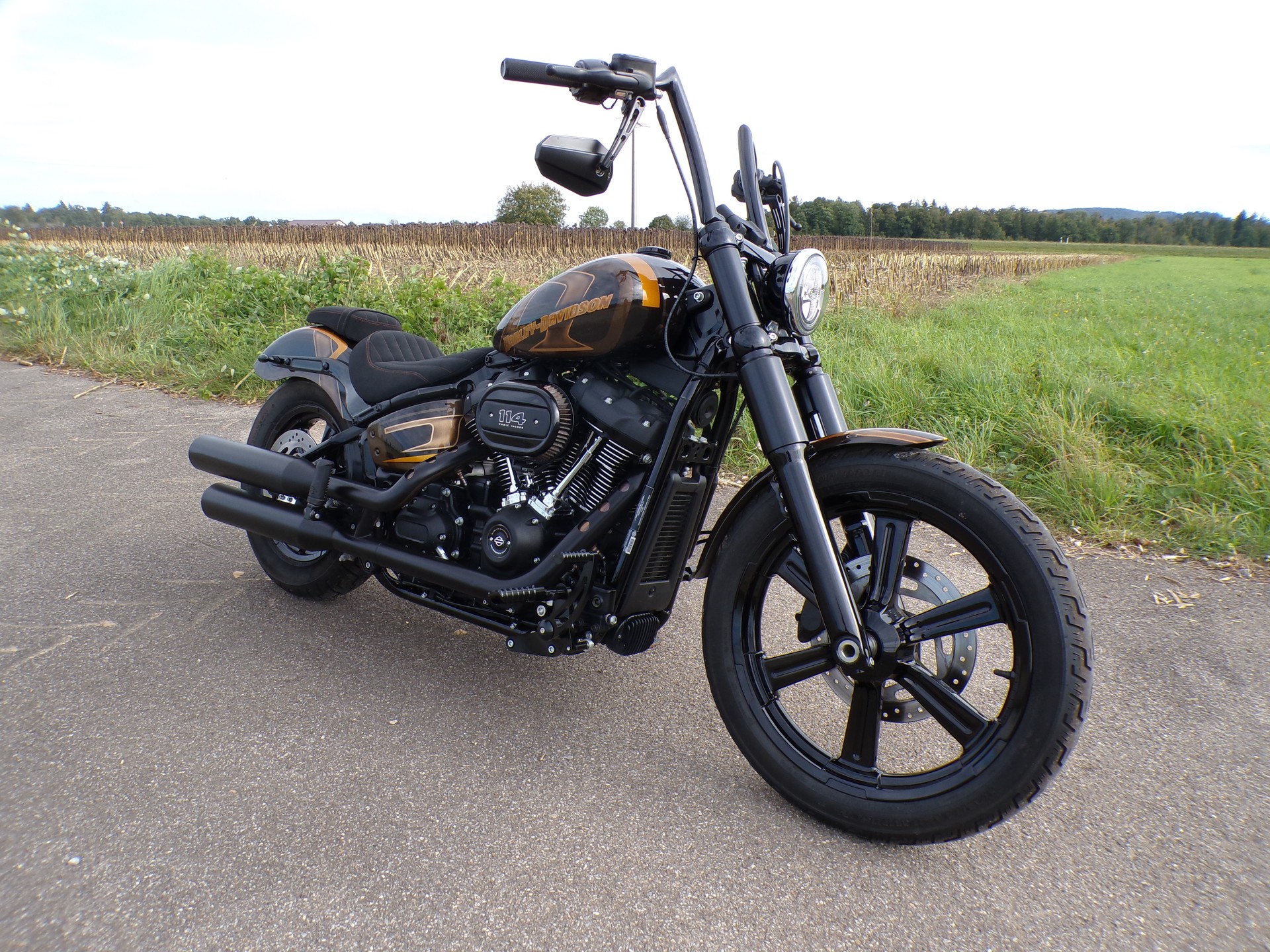 HARLEY-DAVIDSON FXBBS Street Bob 114