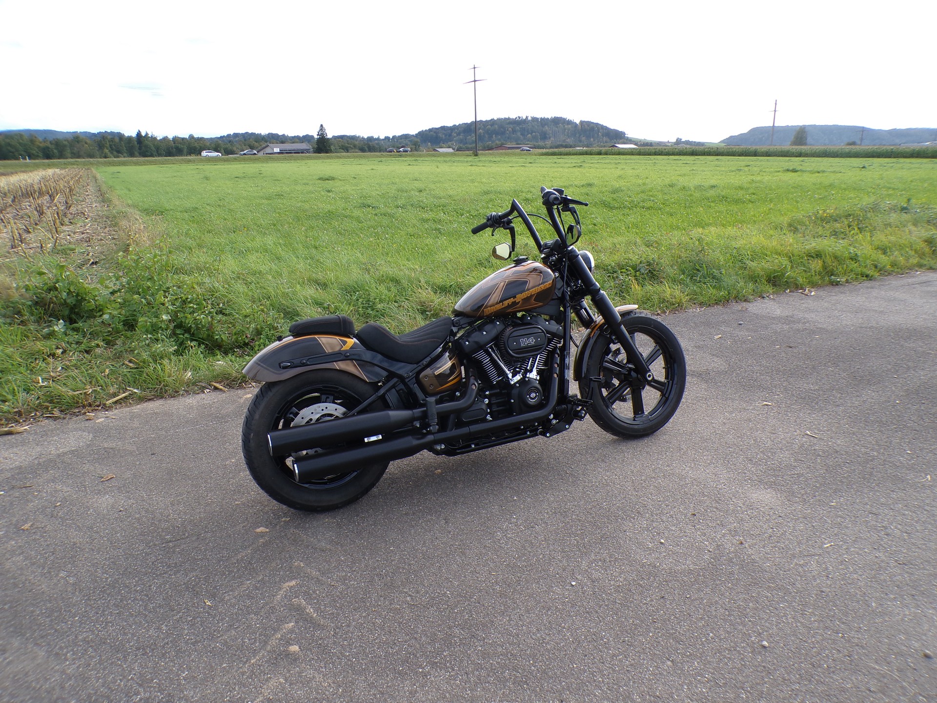 HARLEY-DAVIDSON FXBBS Street Bob 114-image-3