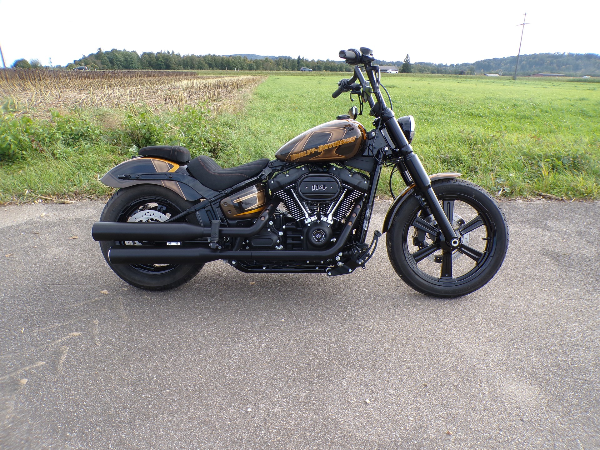 HARLEY-DAVIDSON FXBBS Street Bob 114-image-2