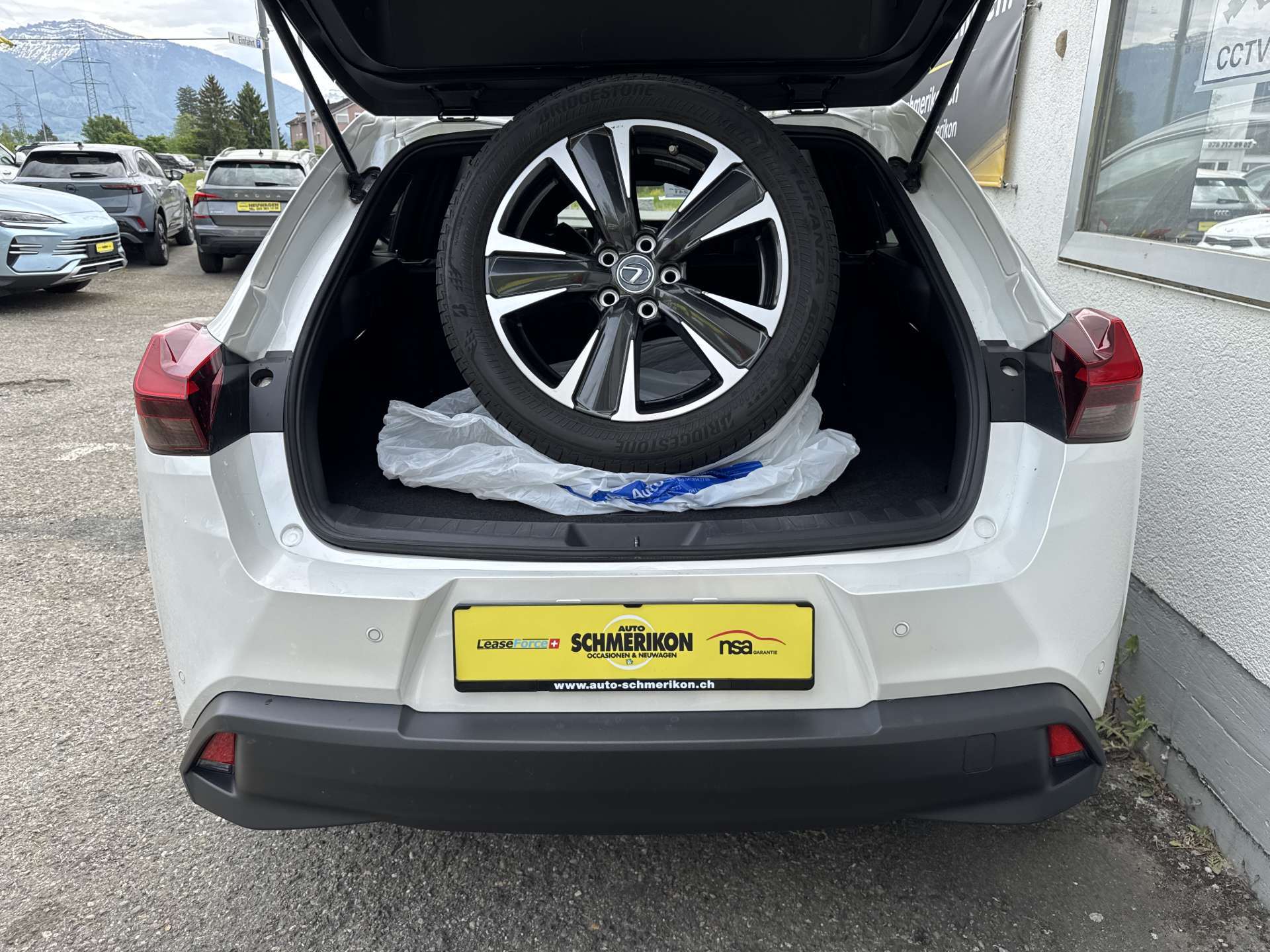 LEXUS UX 250h Hybrid Style Edition Automat-image-8
