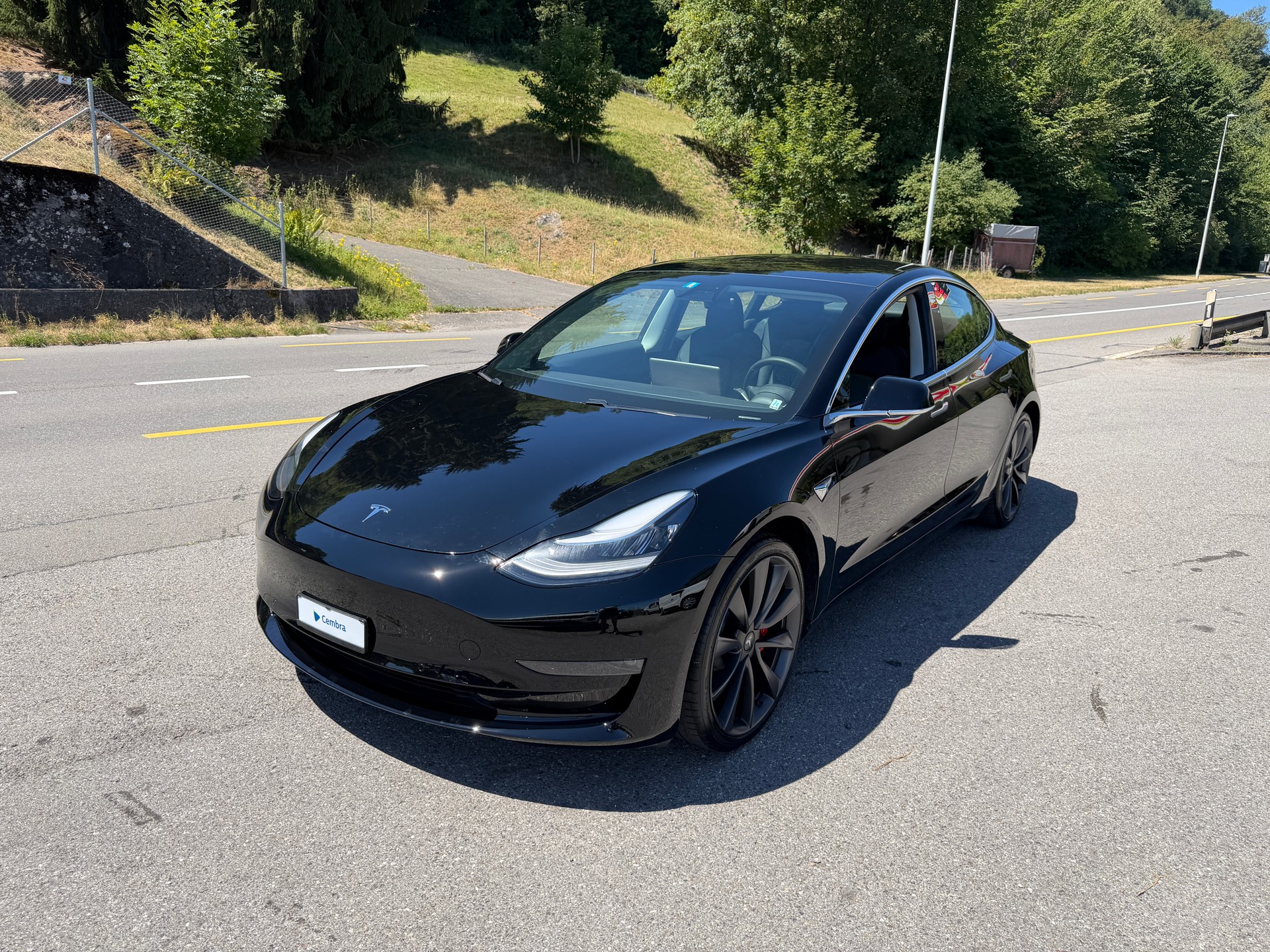 TESLA Model 3 Performance Dual Motor AWD-image-0