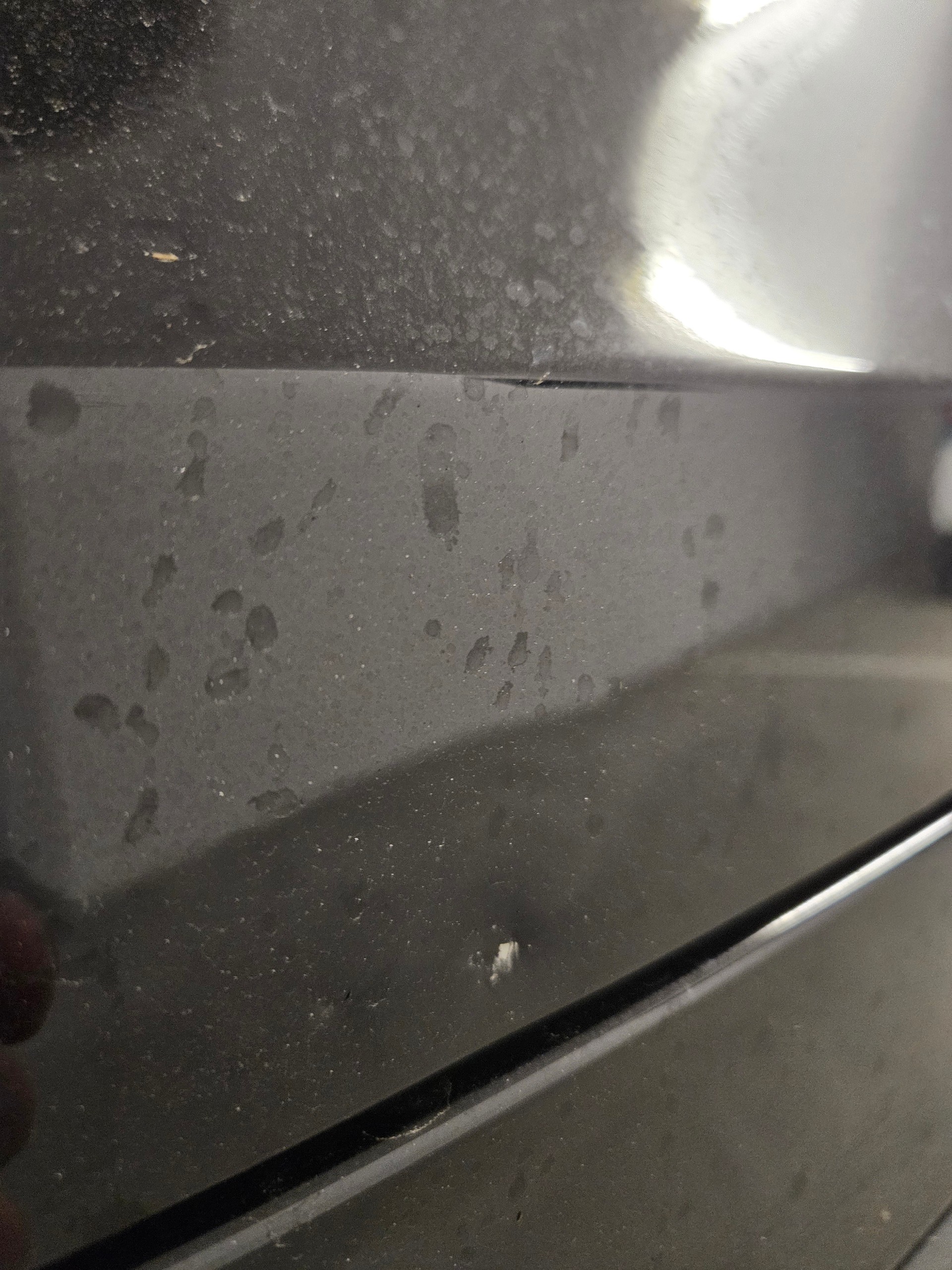 TESLA Performance AWD – 03/2024 – 8-fach (21"/20") – Neuer Garantie-Check & neue Querlenker-image-8