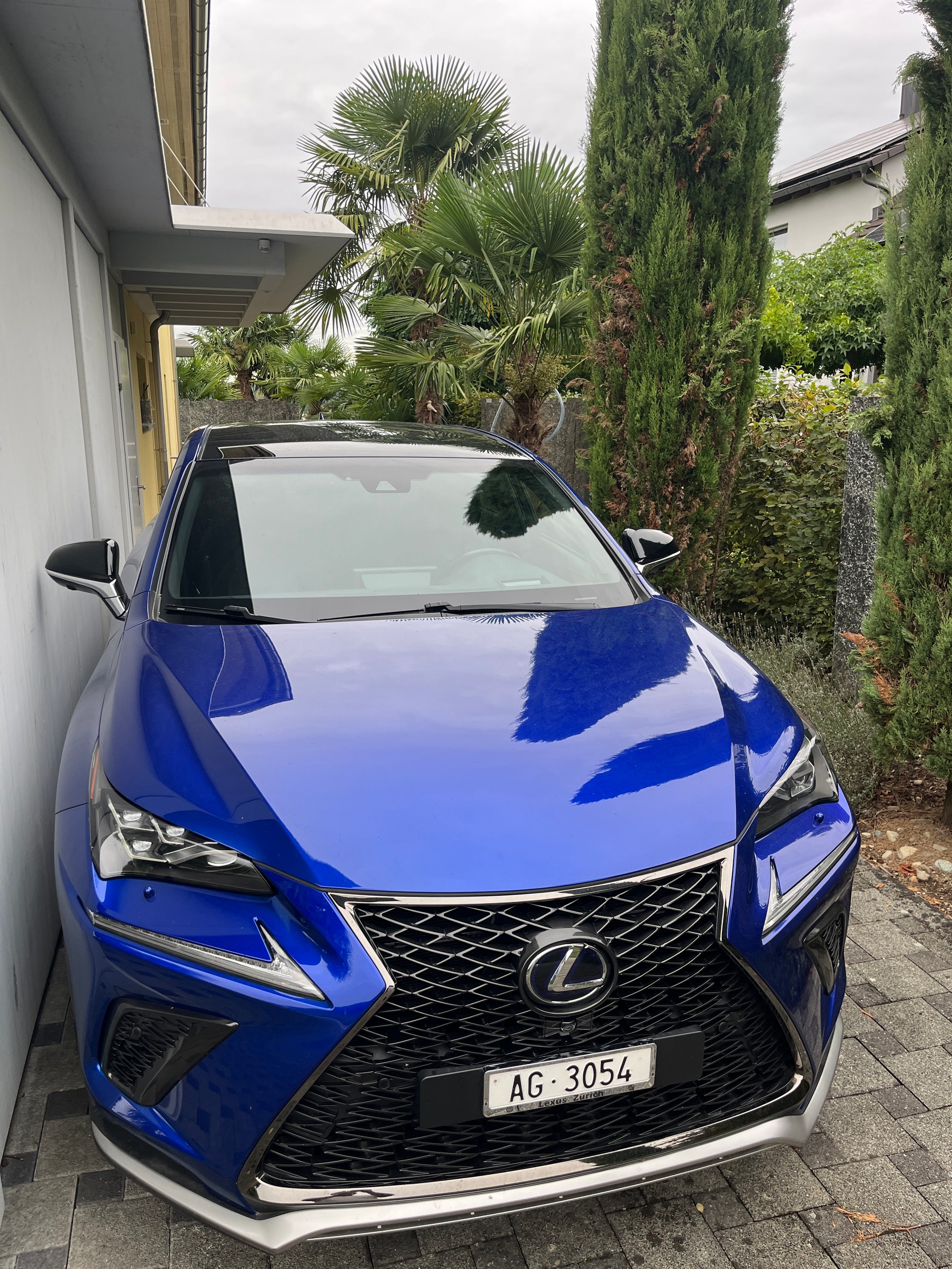 LEXUS 300h F-Sport-image-0