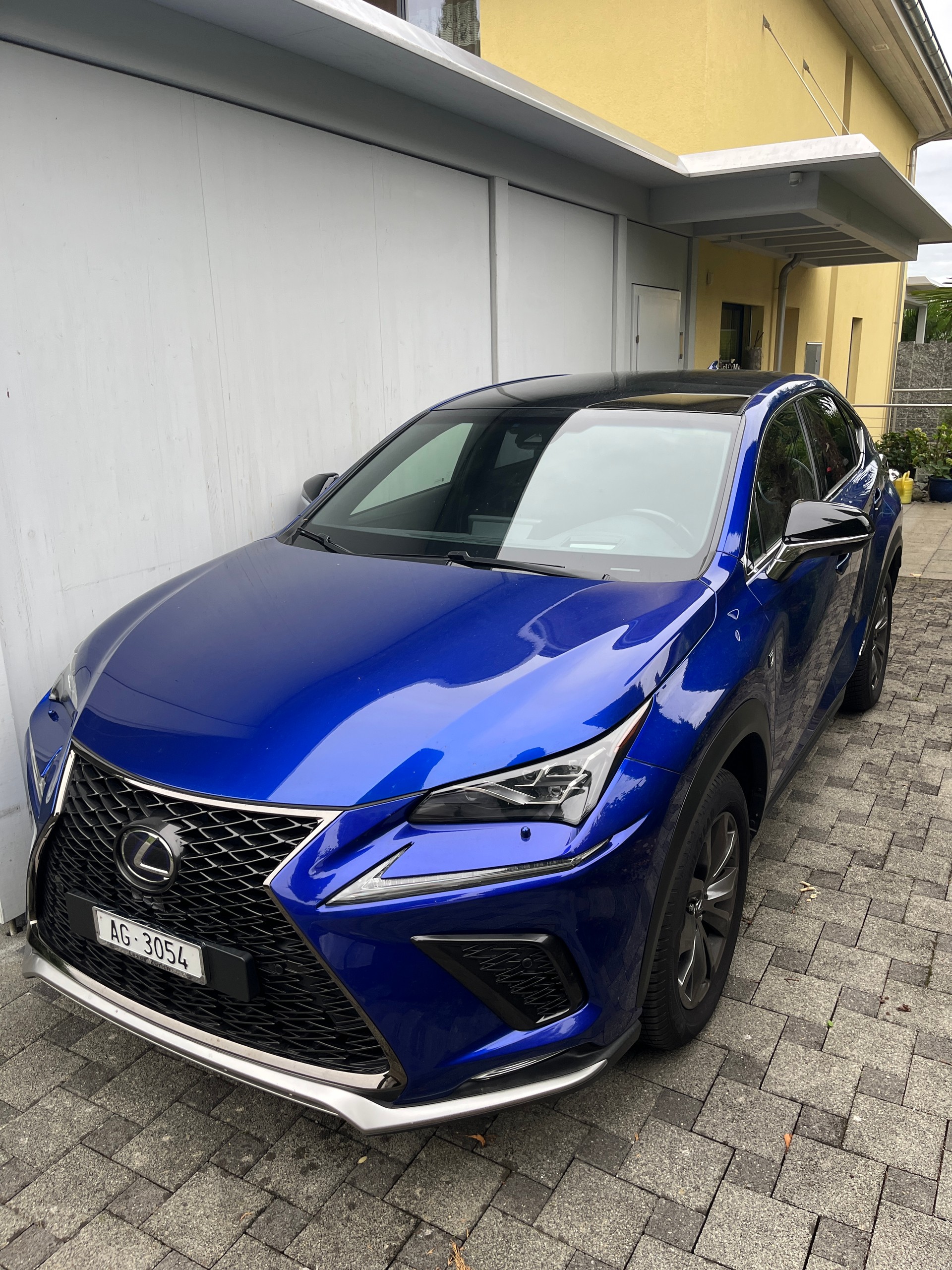 LEXUS 300h F-Sport-image-1
