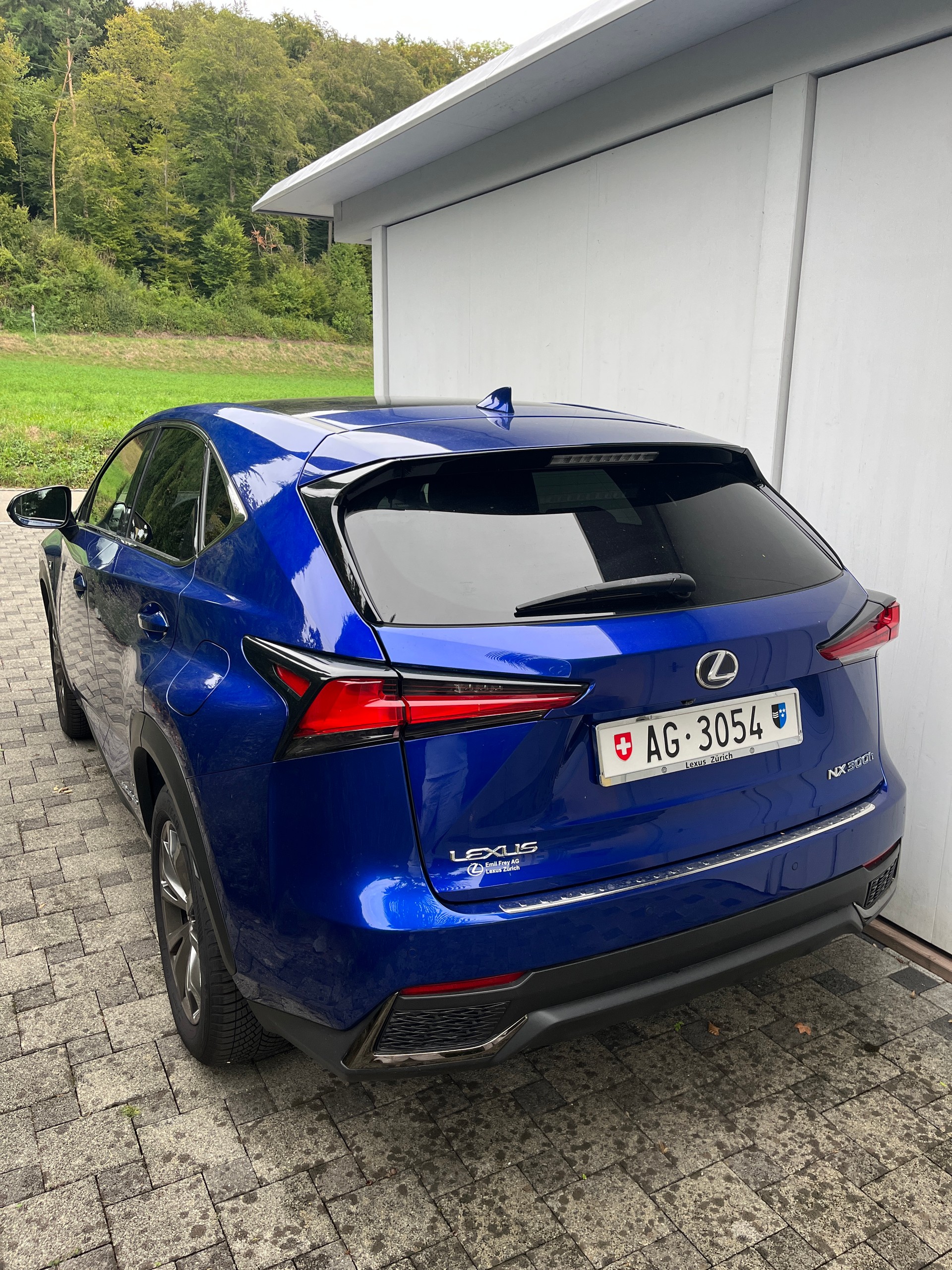 LEXUS 300h F-Sport-image-2