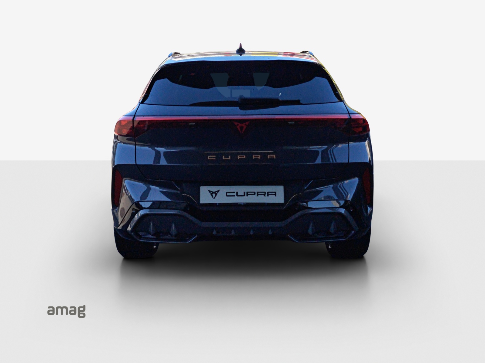 CUPRA Terramar 2.0 TSI DSG 4Drive-image-3
