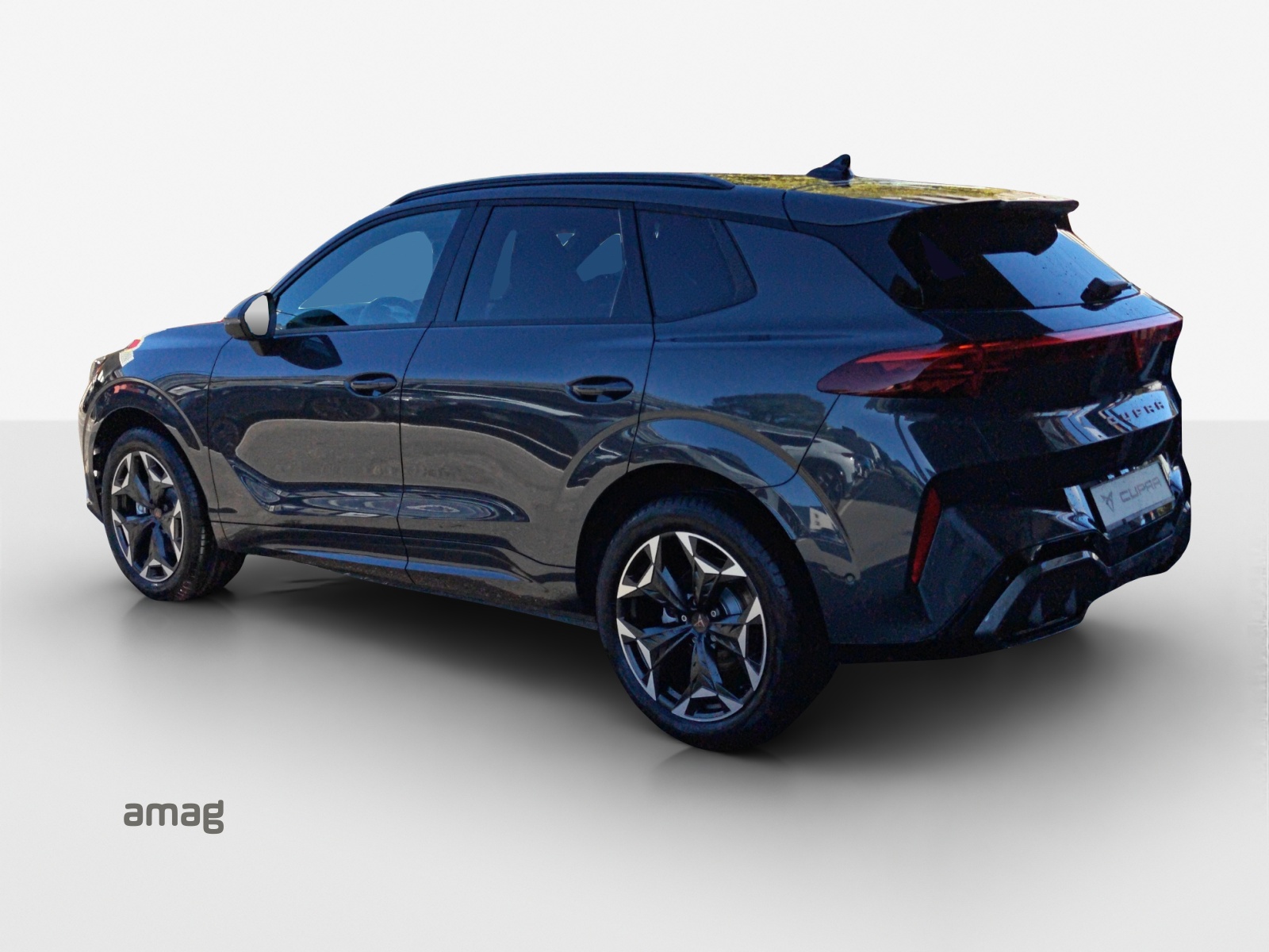 CUPRA Terramar 2.0 TSI DSG 4Drive-image-2