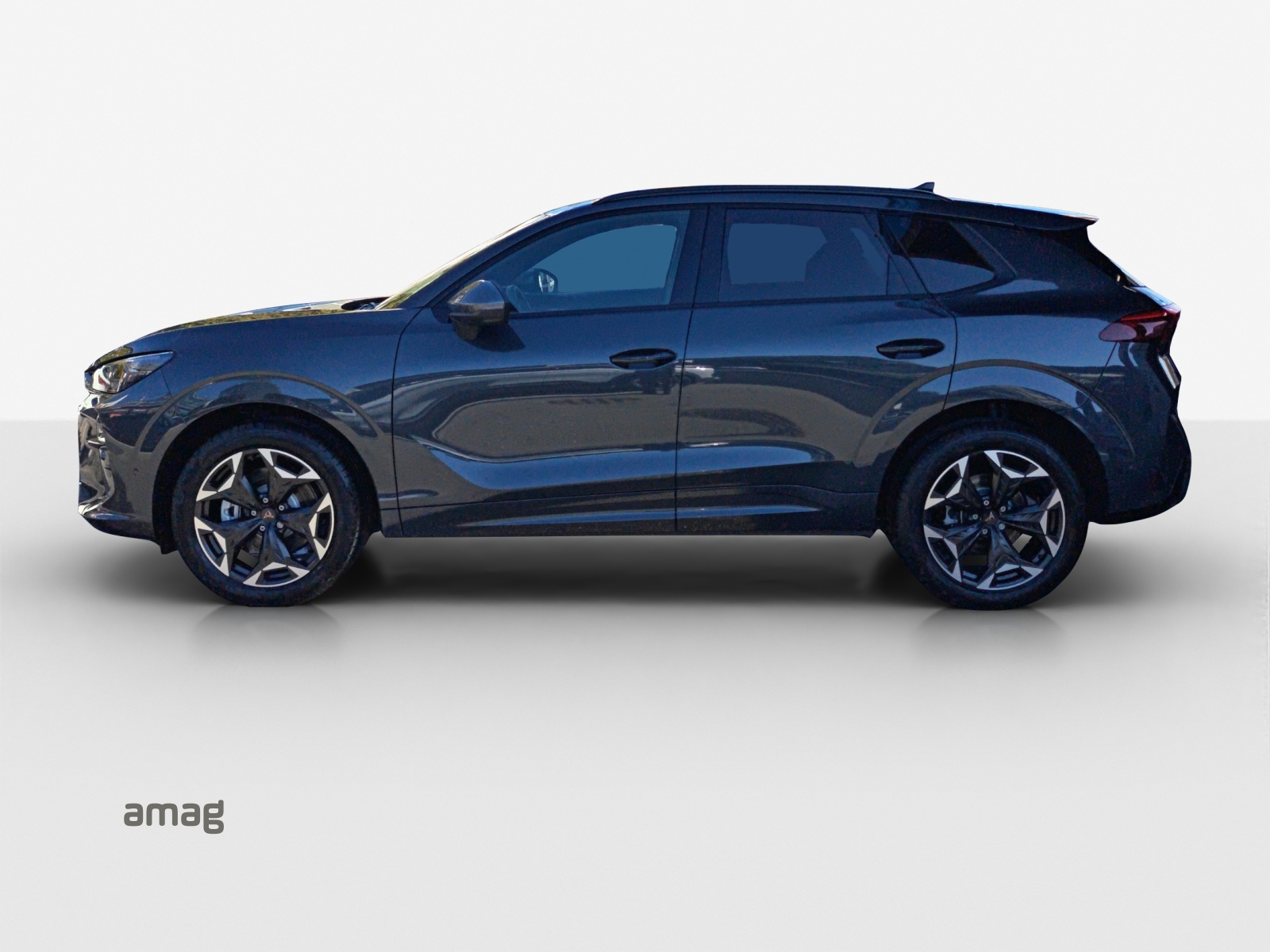 CUPRA Terramar 2.0 TSI DSG 4Drive-image-1