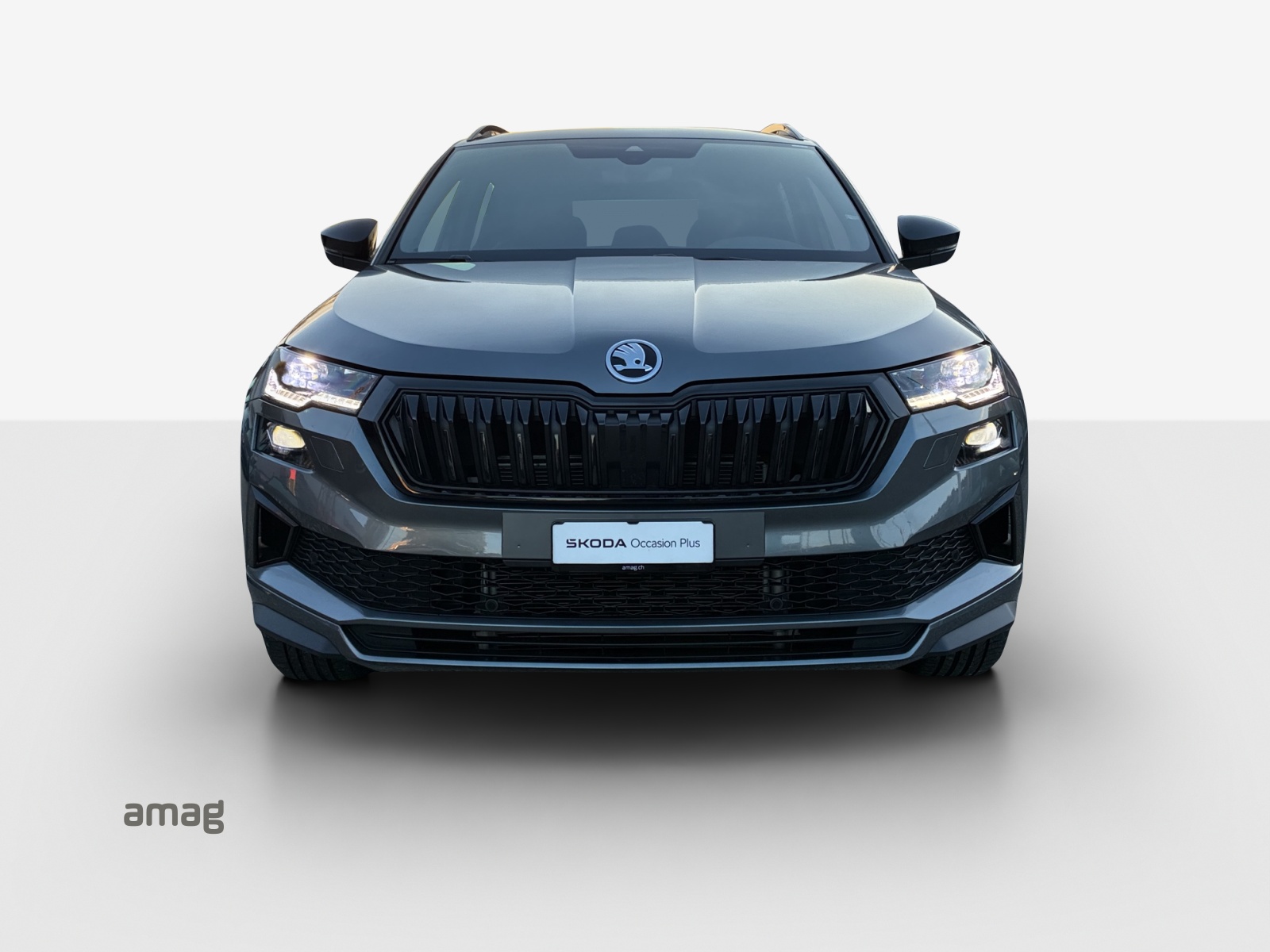SKODA Karoq 2.0 TSI SportLine 4x4 DSG-image-6