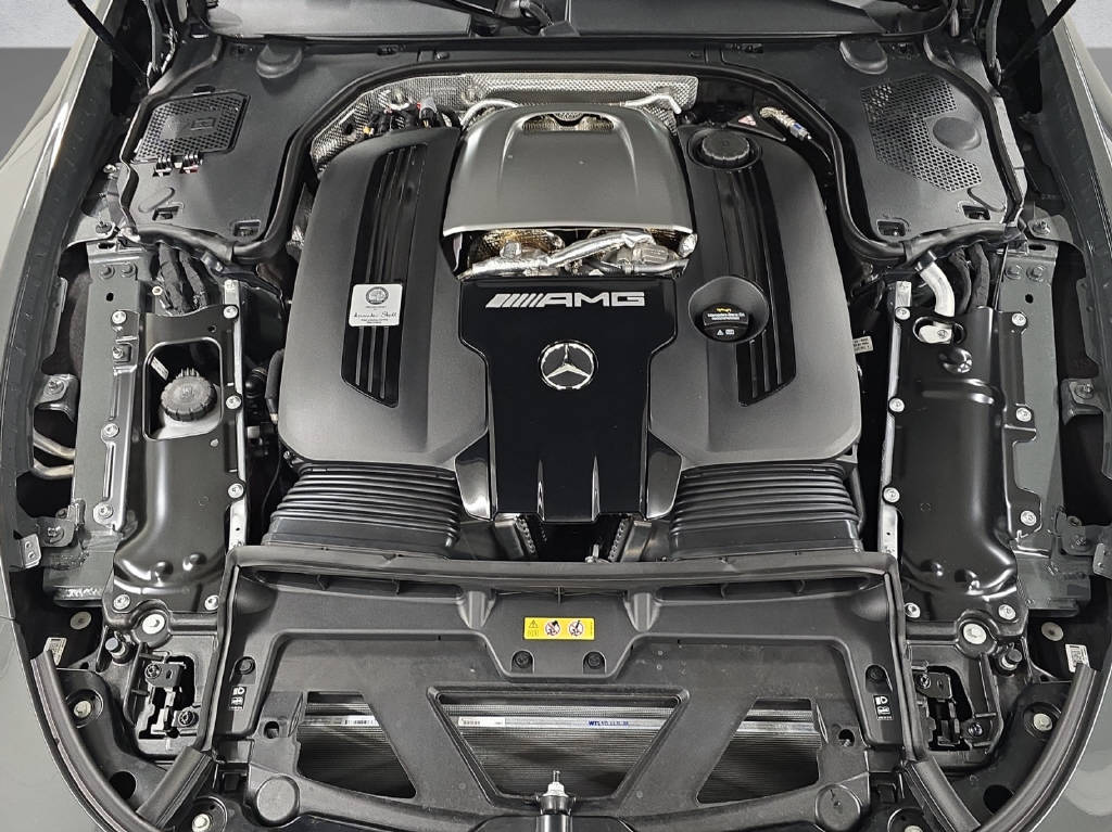 MERCEDES-BENZ AMG GT 63 Pro Executive Edition 4Matic+-image-8