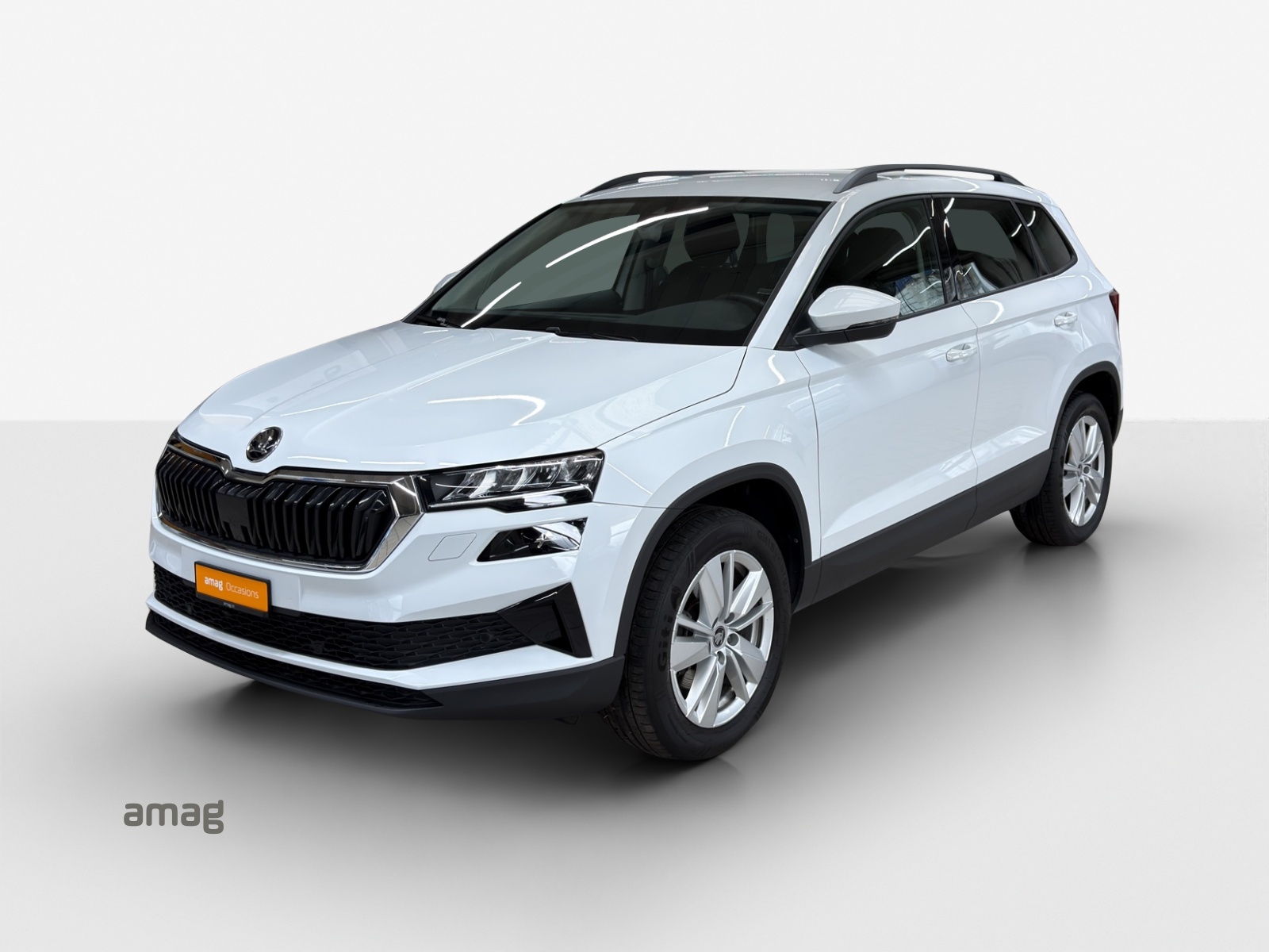 SKODA Karoq 2.0 TDI CR Selection 4x4 DSG-image-0