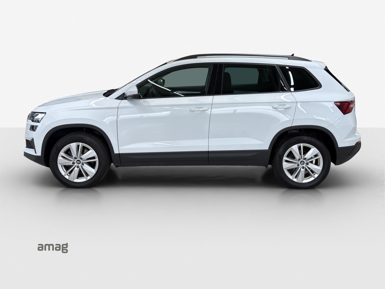 SKODA Karoq 2.0 TDI CR Selection 4x4 DSG-image-1
