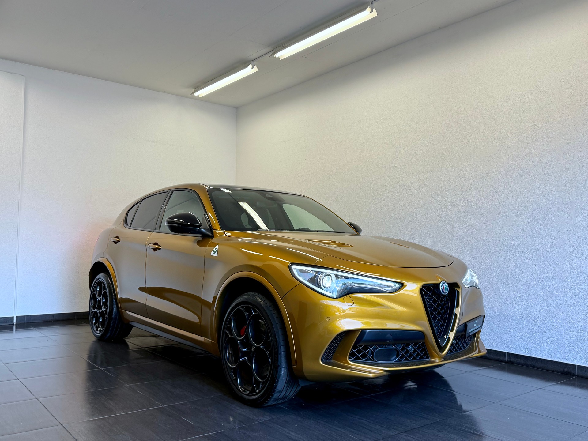 ALFA ROMEO Stelvio 2.9 V6 Quadrifoglio *AKRAPOVIC* Performante Sky Q4-showroom-element-1