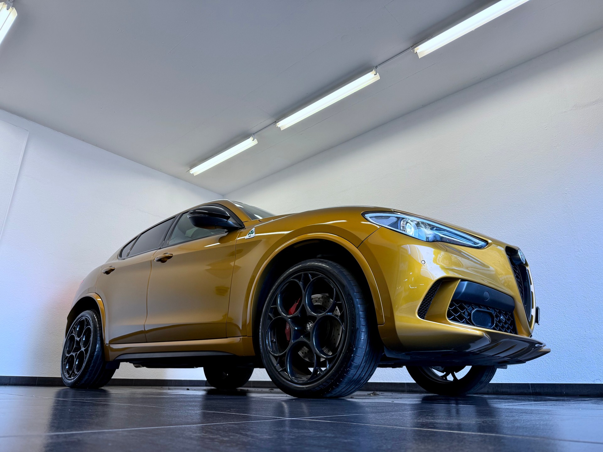 ALFA ROMEO Stelvio 2.9 V6 Quadrifoglio *AKRAPOVIC* Performante Sky Q4-showroom-element-2