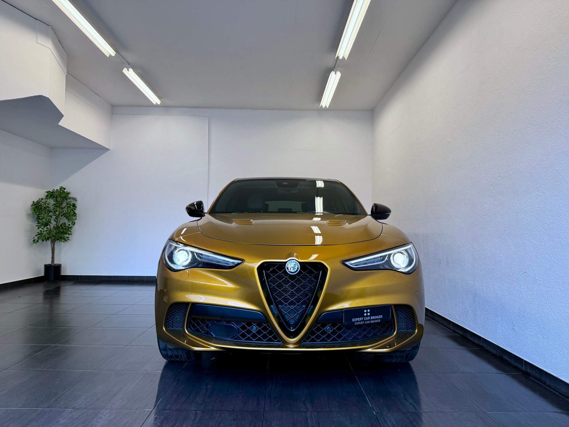 ALFA ROMEO Stelvio 2.9 V6 Quadrifoglio *AKRAPOVIC* Performante Sky Q4-image-4
