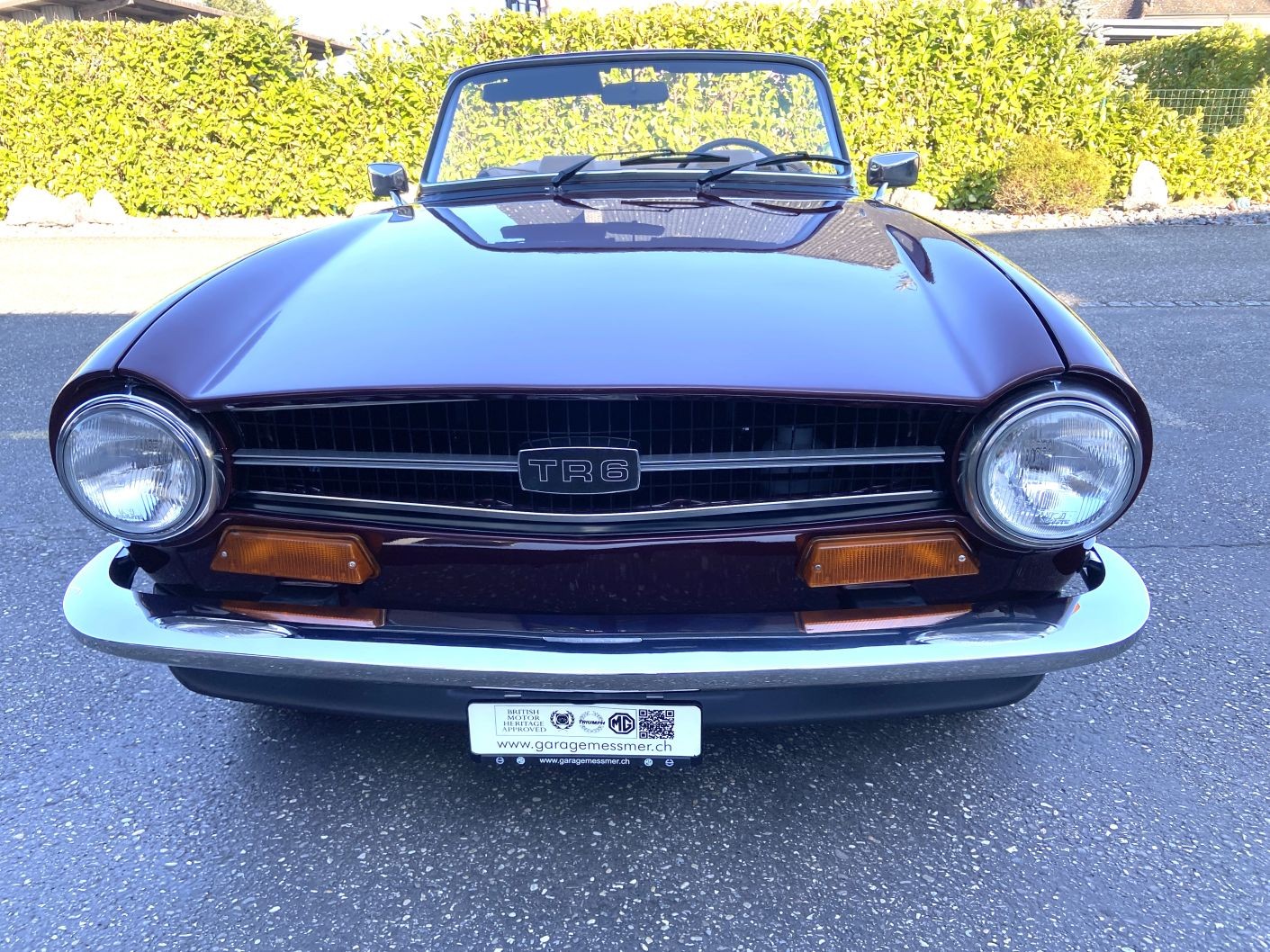 TRIUMPH TR6 Veteran-image-5