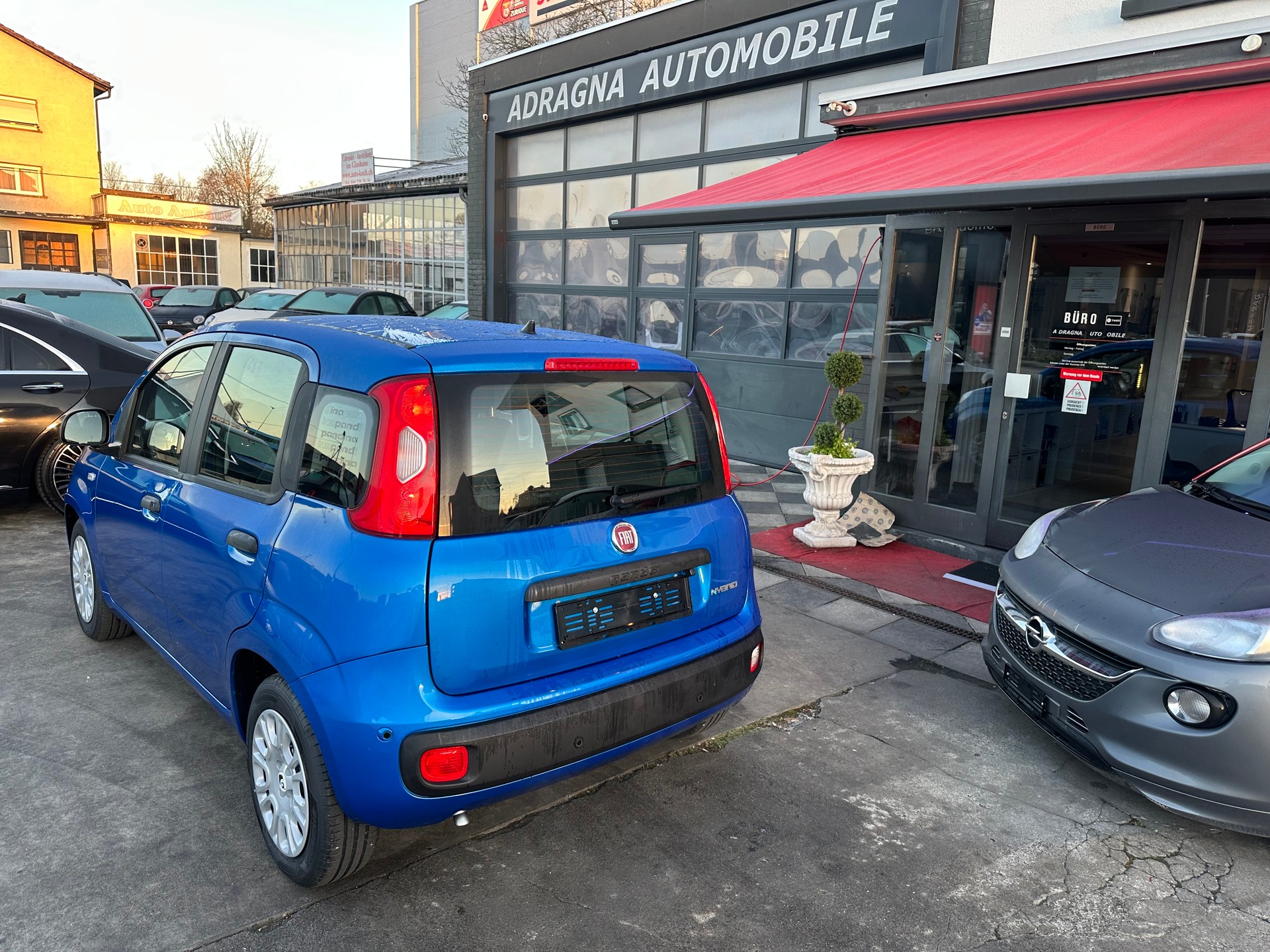 FIAT Panda 1.0 MHEV Pandina-image-4