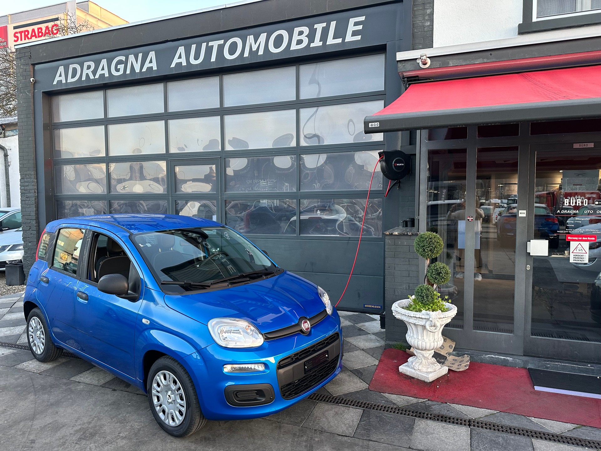 FIAT Panda 1.0 MHEV Pandina-image-2