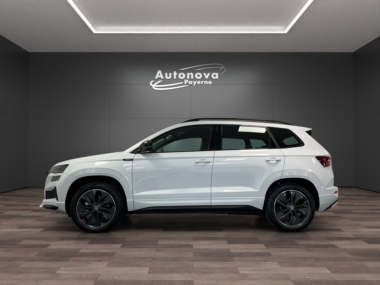 SKODA Karoq 2.0 TSI Dynamic Limited Edition 4x4 DSG-image-2