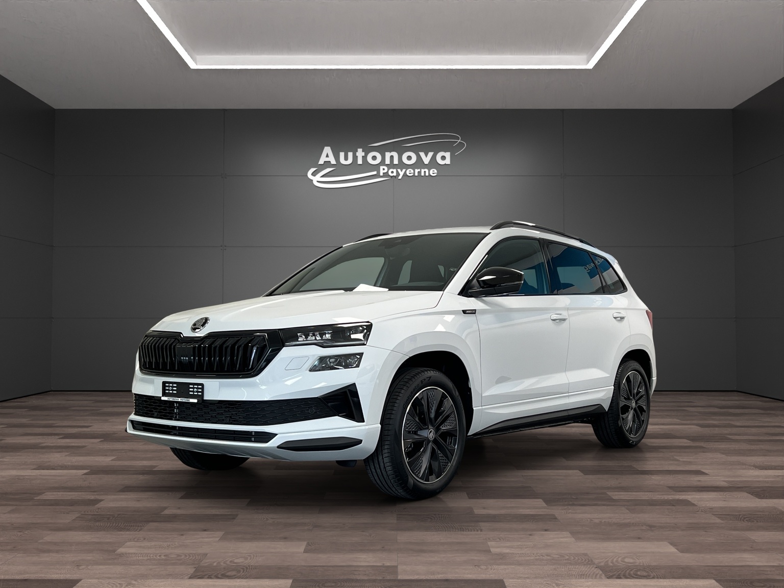 SKODA Karoq 2.0 TSI Dynamic Limited Edition 4x4 DSG-image-0