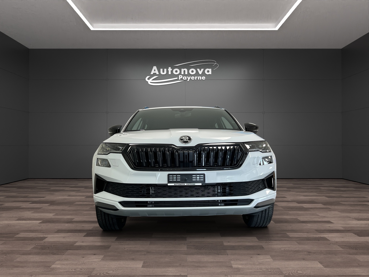 SKODA Karoq 2.0 TSI Dynamic Limited Edition 4x4 DSG-image-1