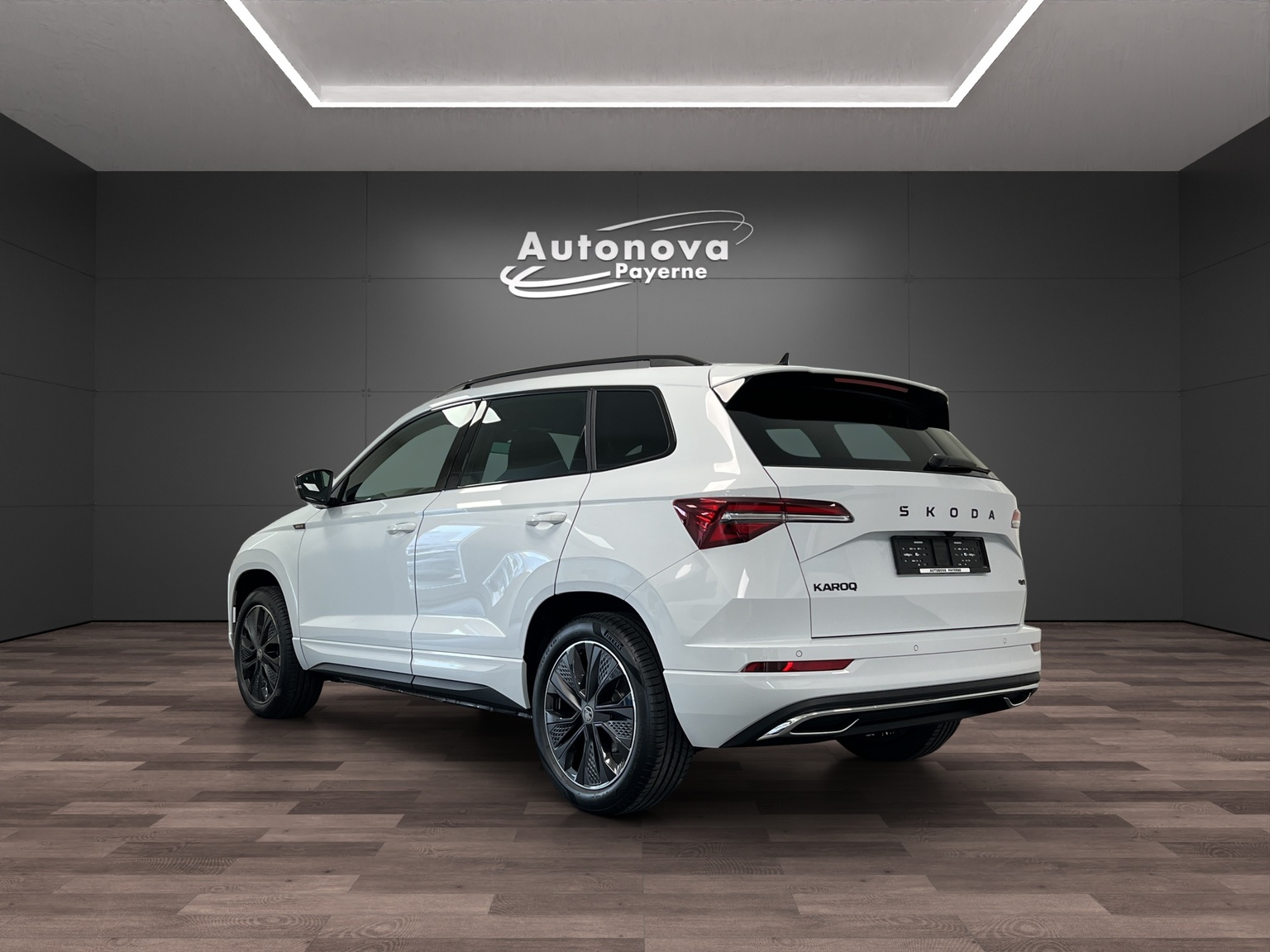 SKODA Karoq 2.0 TSI Dynamic Limited Edition 4x4 DSG-image-3