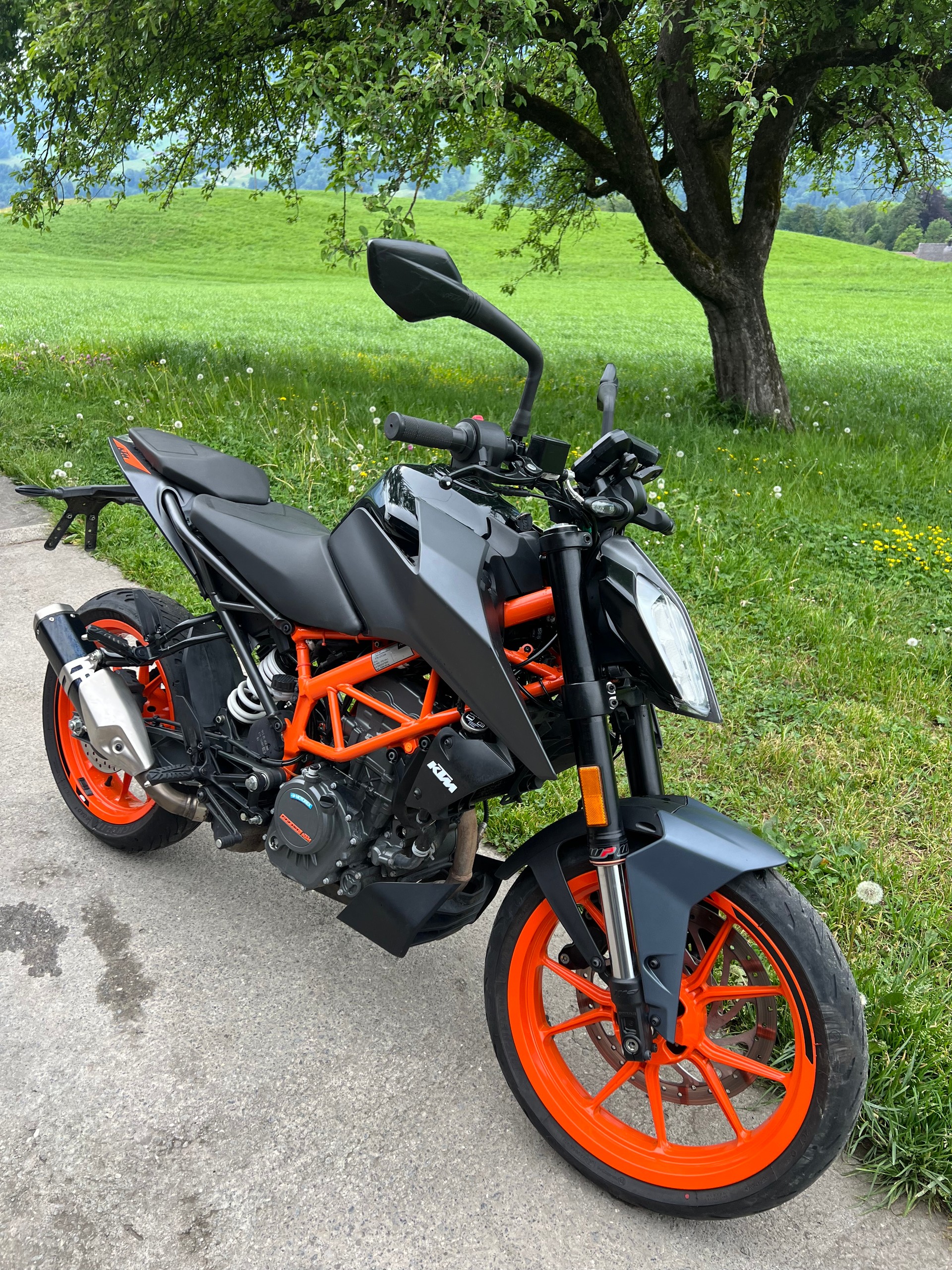 KTM 125 Duke-image-4