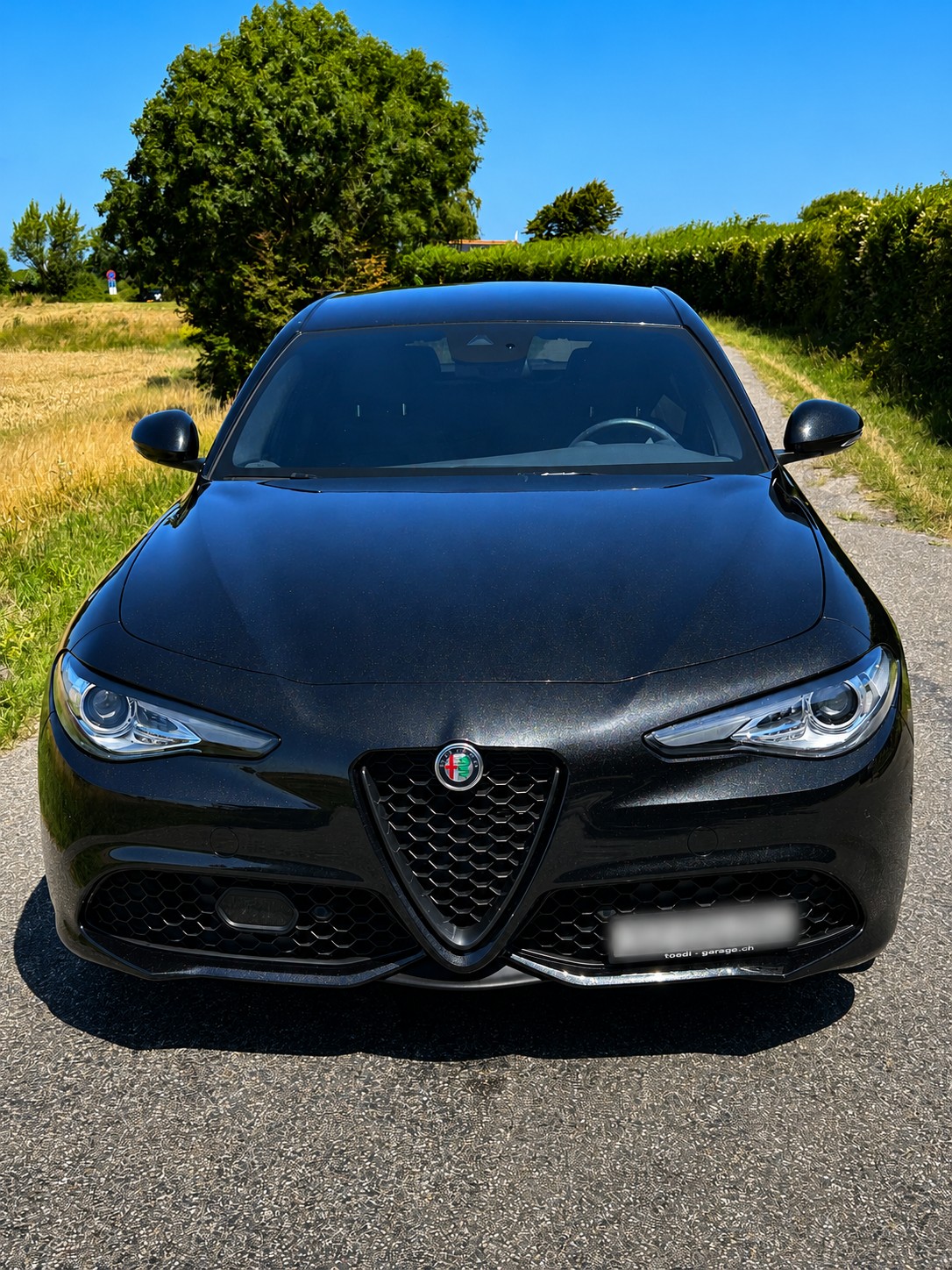 ALFA ROMEO 2.0 Q4 Veloce-image-13