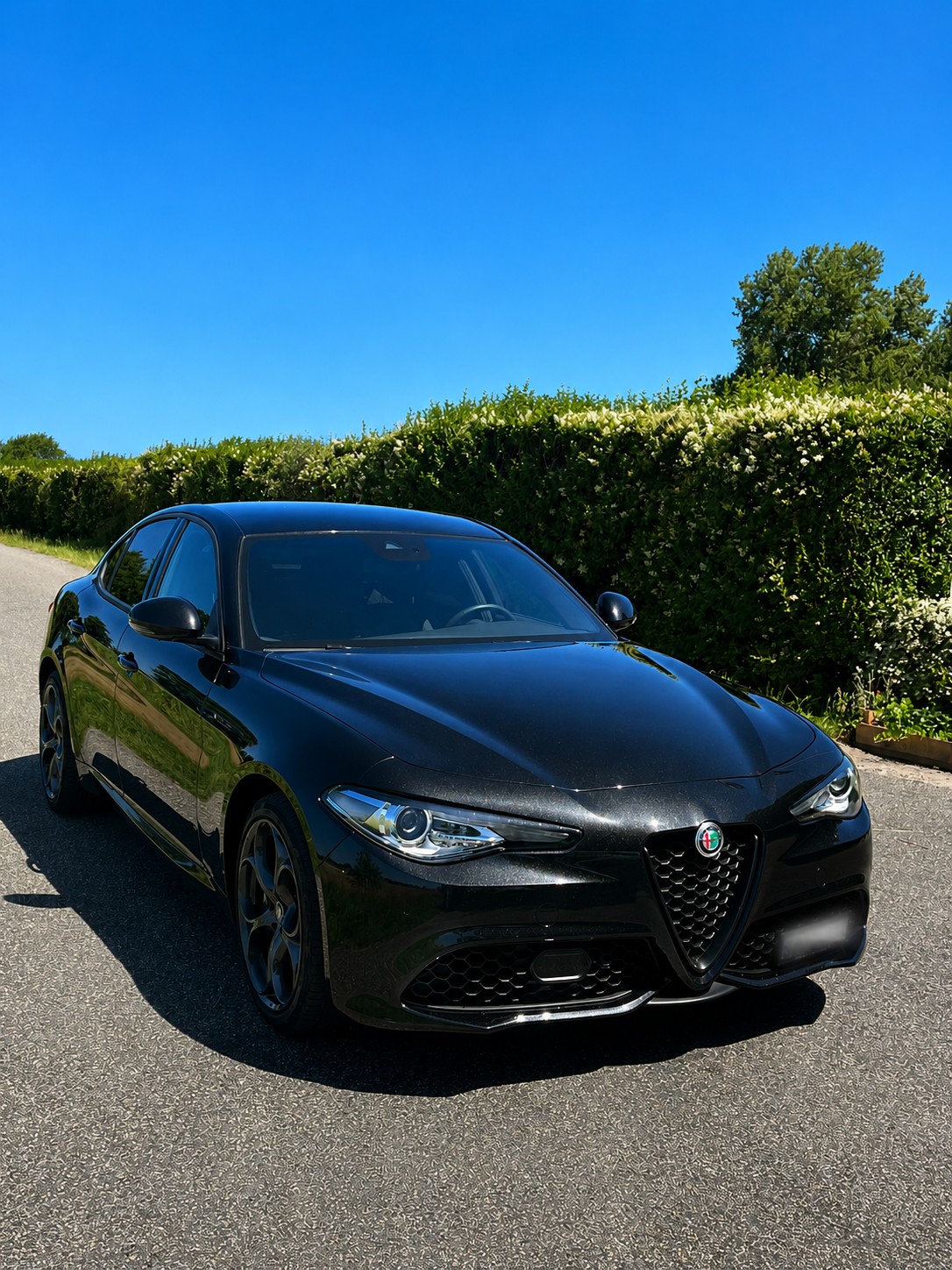 ALFA ROMEO 2.0 Q4 Veloce-image-0