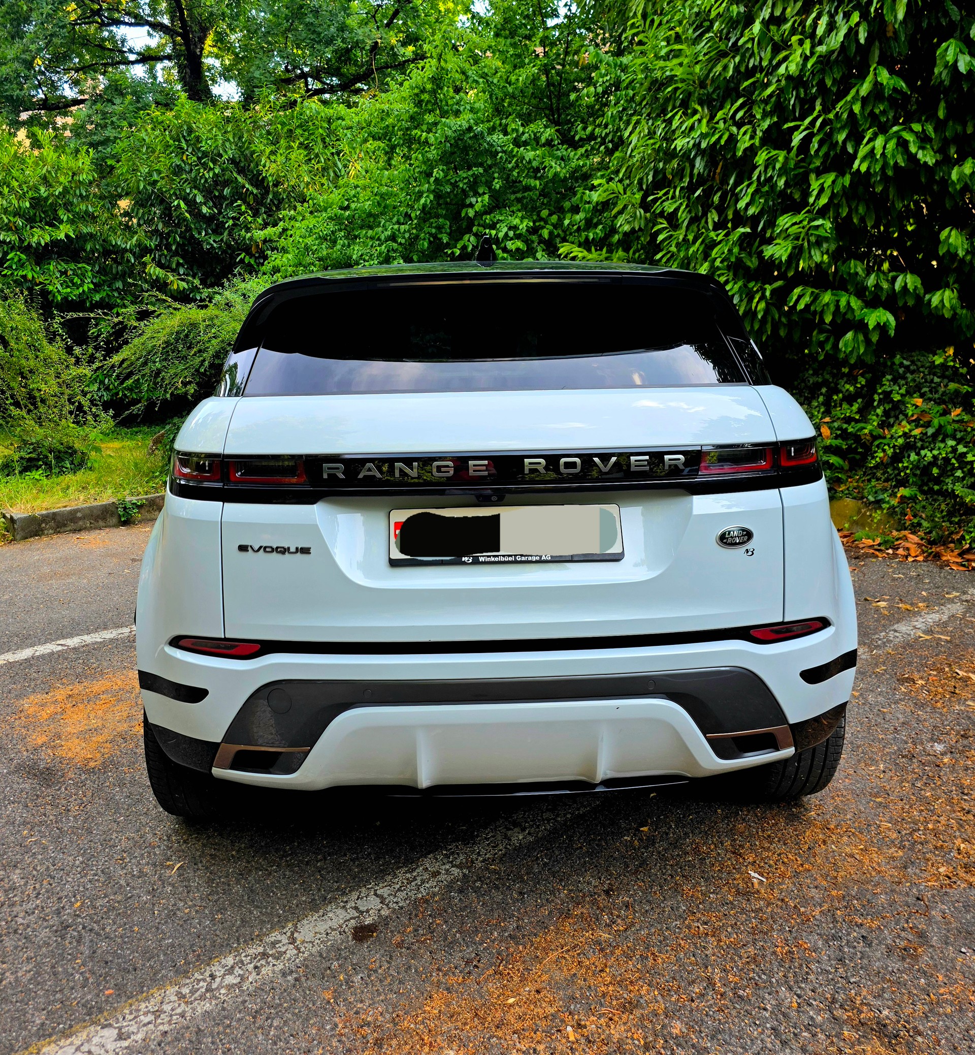 LAND ROVER Range Rover Evoque R-Dynamic First Edition P250 HSE AT9-image-2