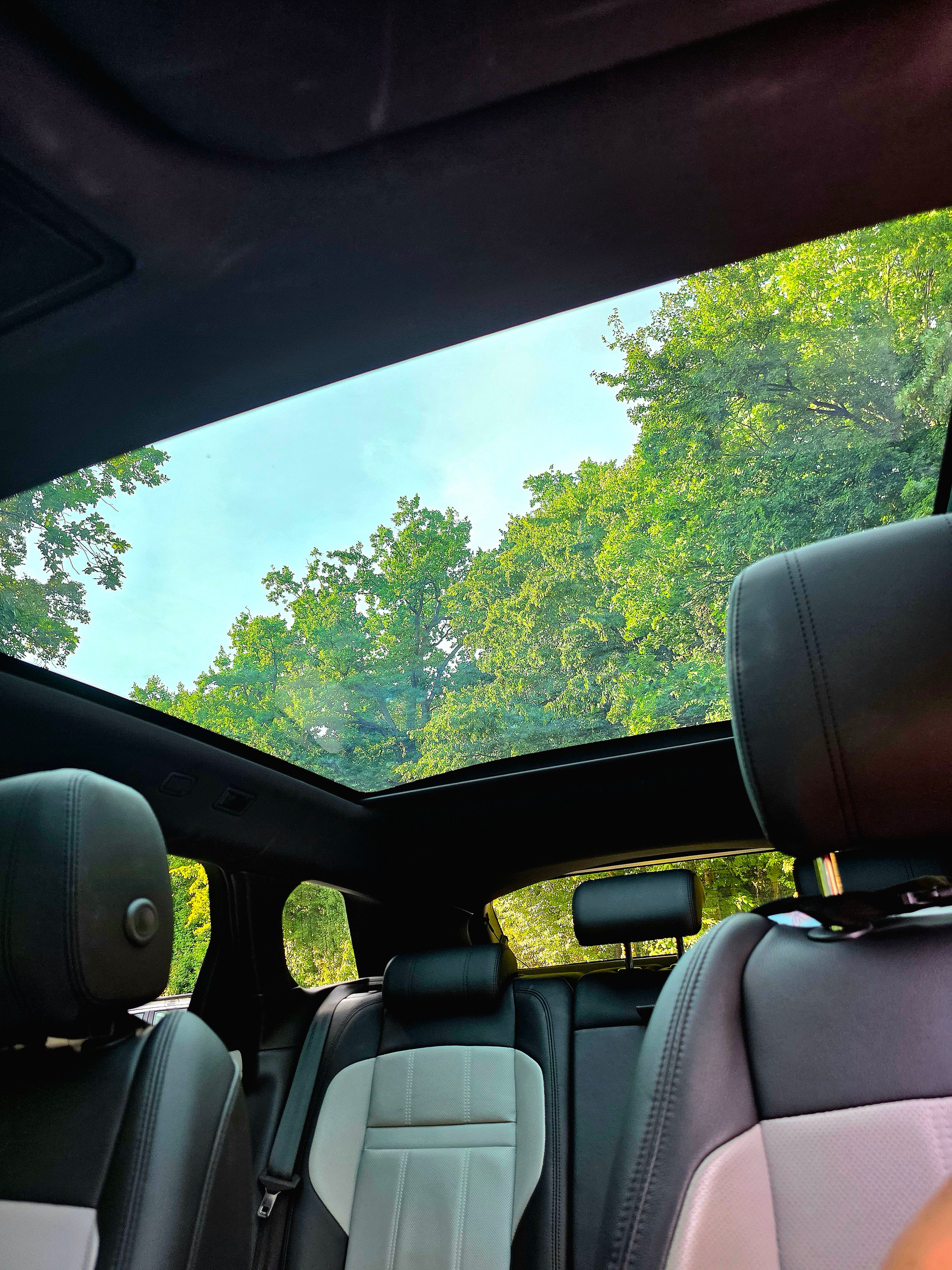 LAND ROVER Range Rover Evoque R-Dynamic First Edition P250 HSE AT9-image-5