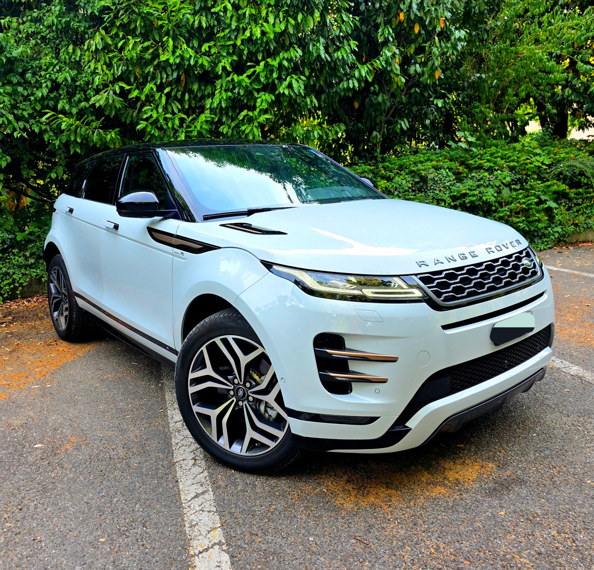 LAND ROVER Range Rover Evoque R-Dynamic First Edition P250 HSE AT9-image-0