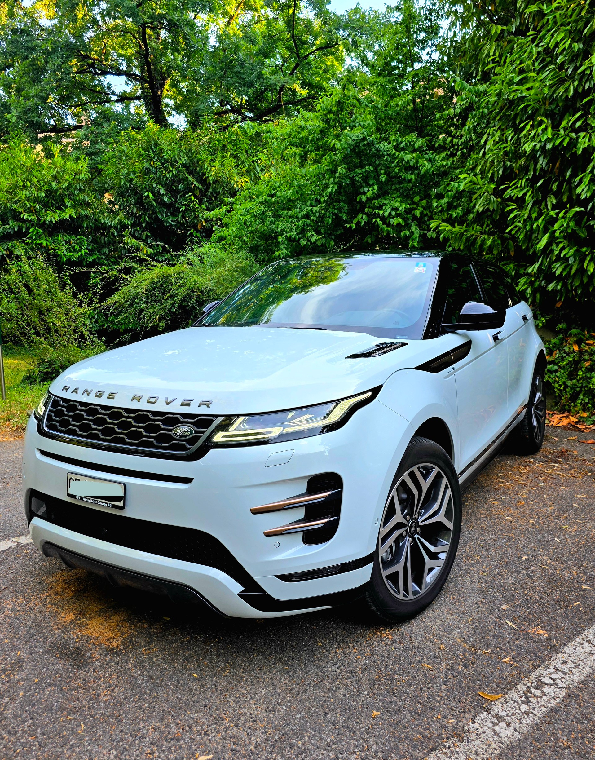 LAND ROVER Range Rover Evoque R-Dynamic First Edition P250 HSE AT9-image-1