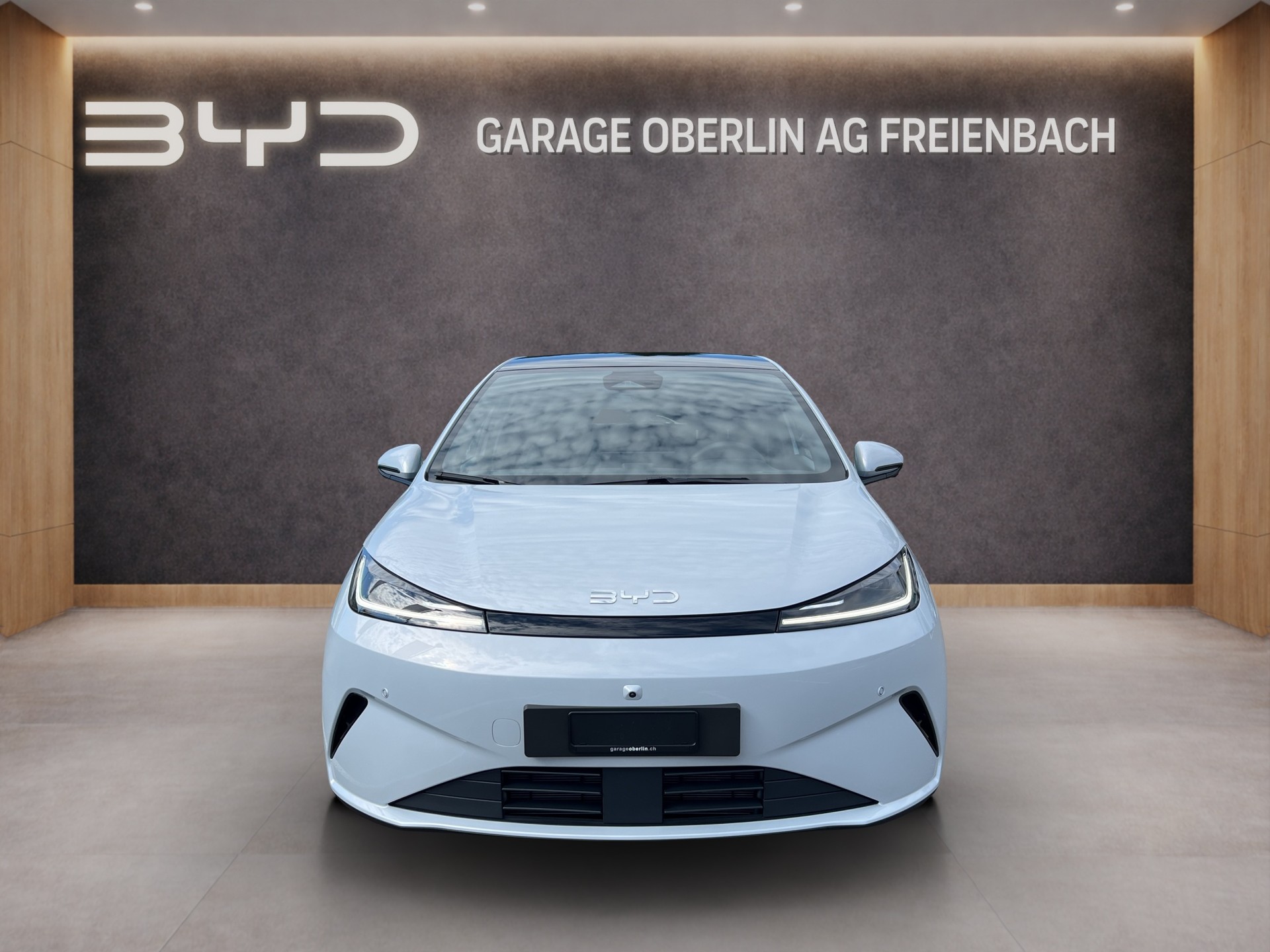 BYD Dolphin G DM-i Comfort-image-7