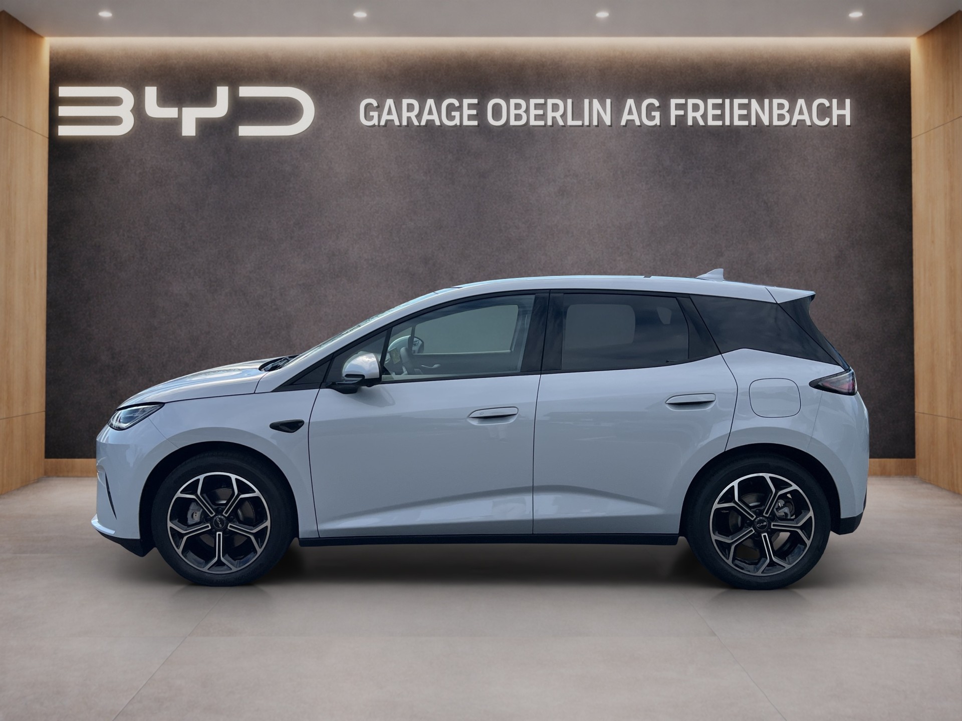 BYD Dolphin G DM-i Comfort-showroom-element-1
