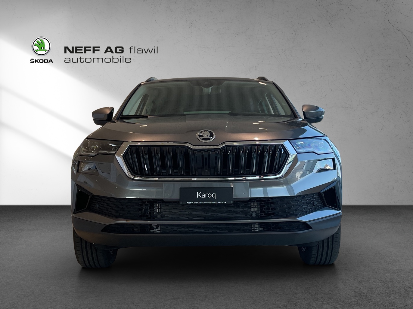 SKODA SKODA Karoq Dynamic-image-1