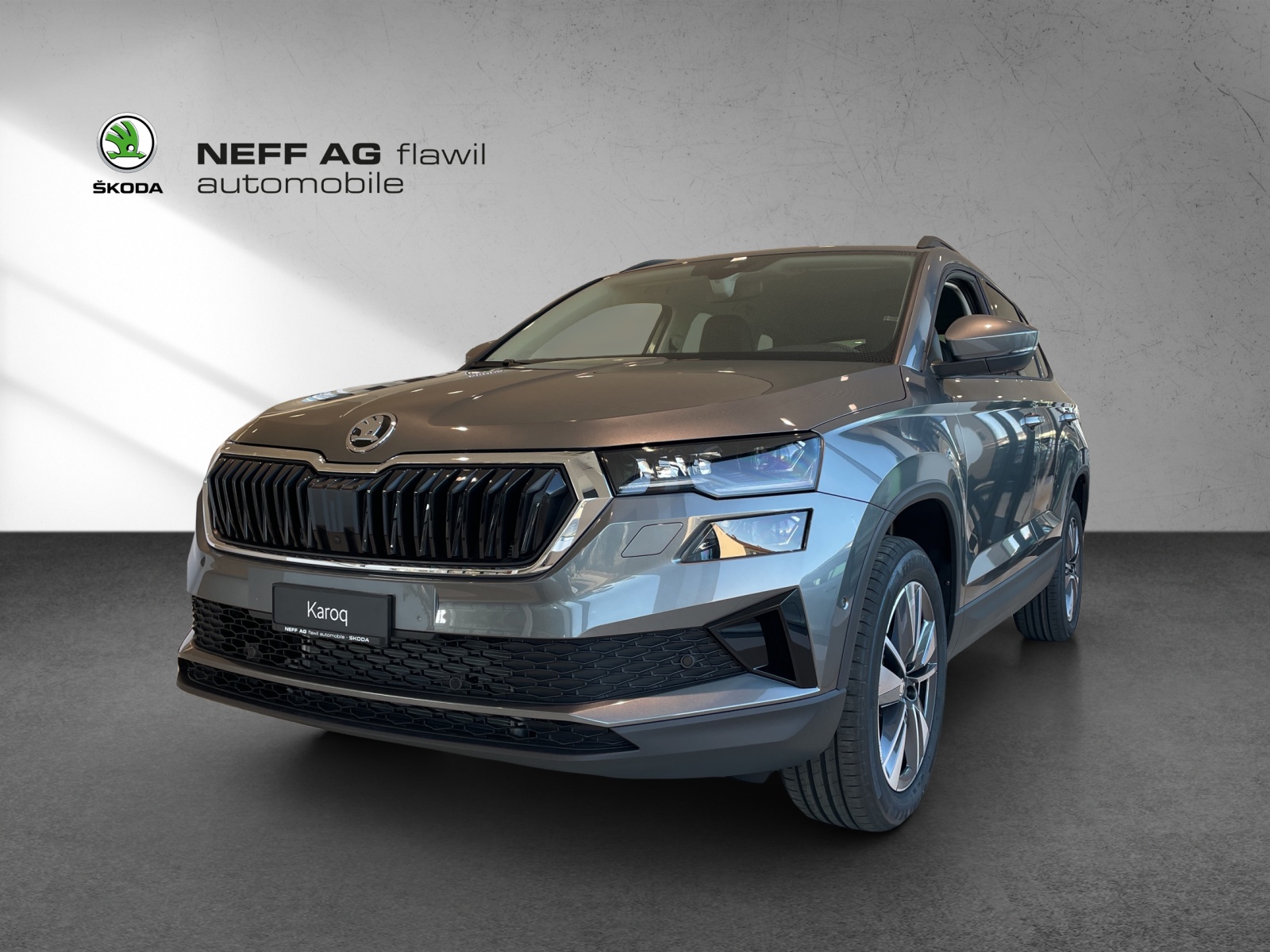 SKODA SKODA Karoq Dynamic-image-0